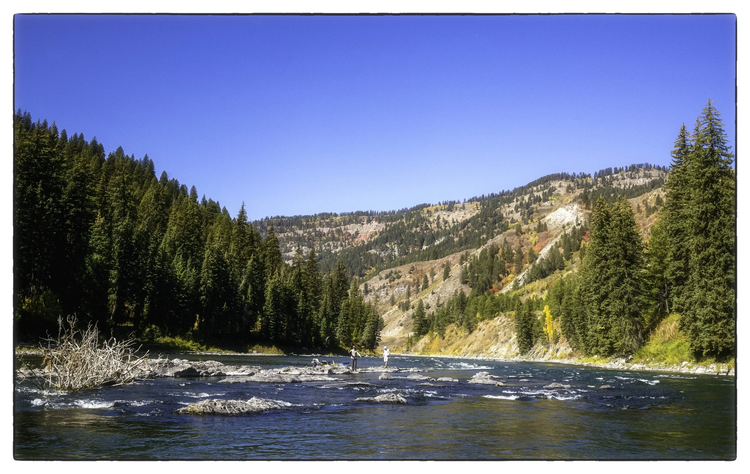  Fishing for fall trout on the Snake River. Wyoming. September 2025. 