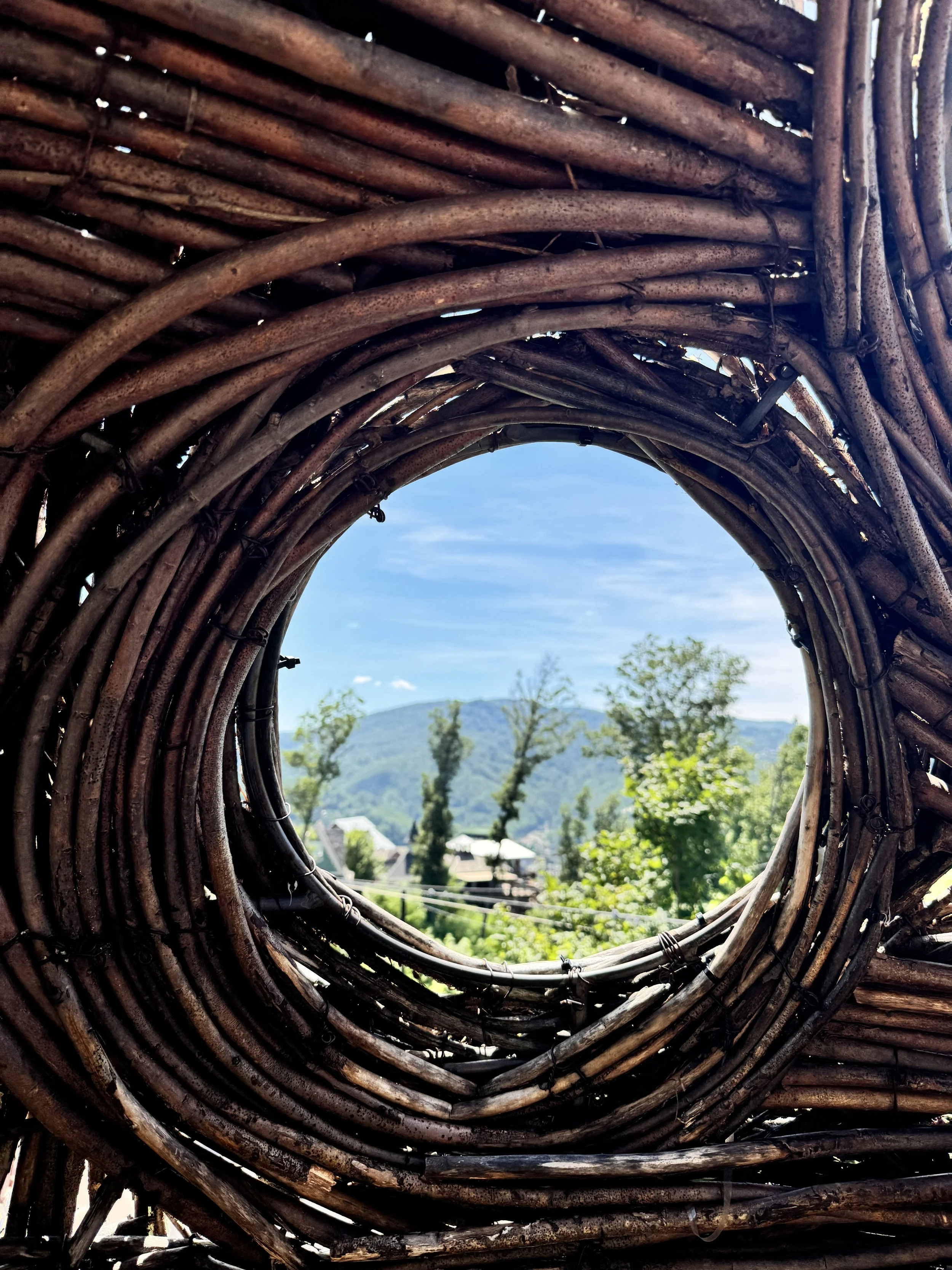 Feeling the Summer blues?