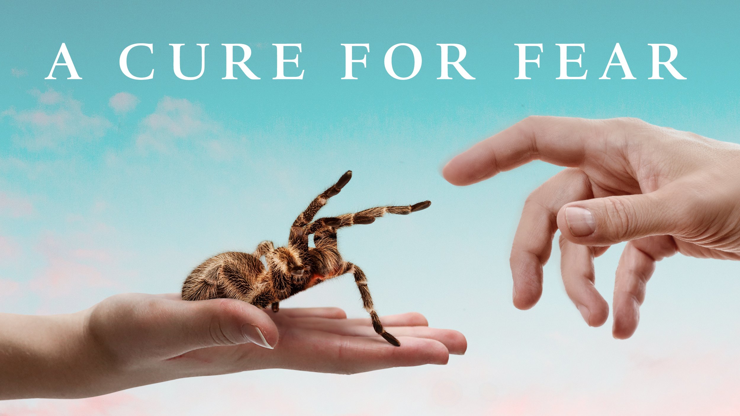 A_Cure_For_Fear_Banner_2840x1598.jpg