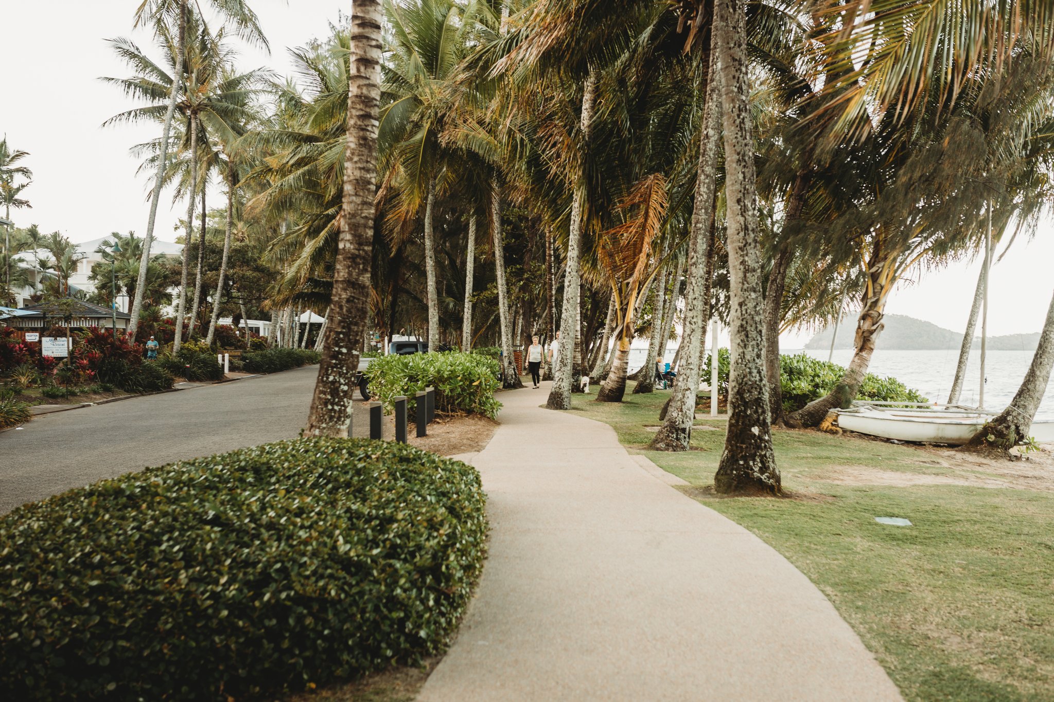 Palm House Palm Cove Location JPEG-10.jpg