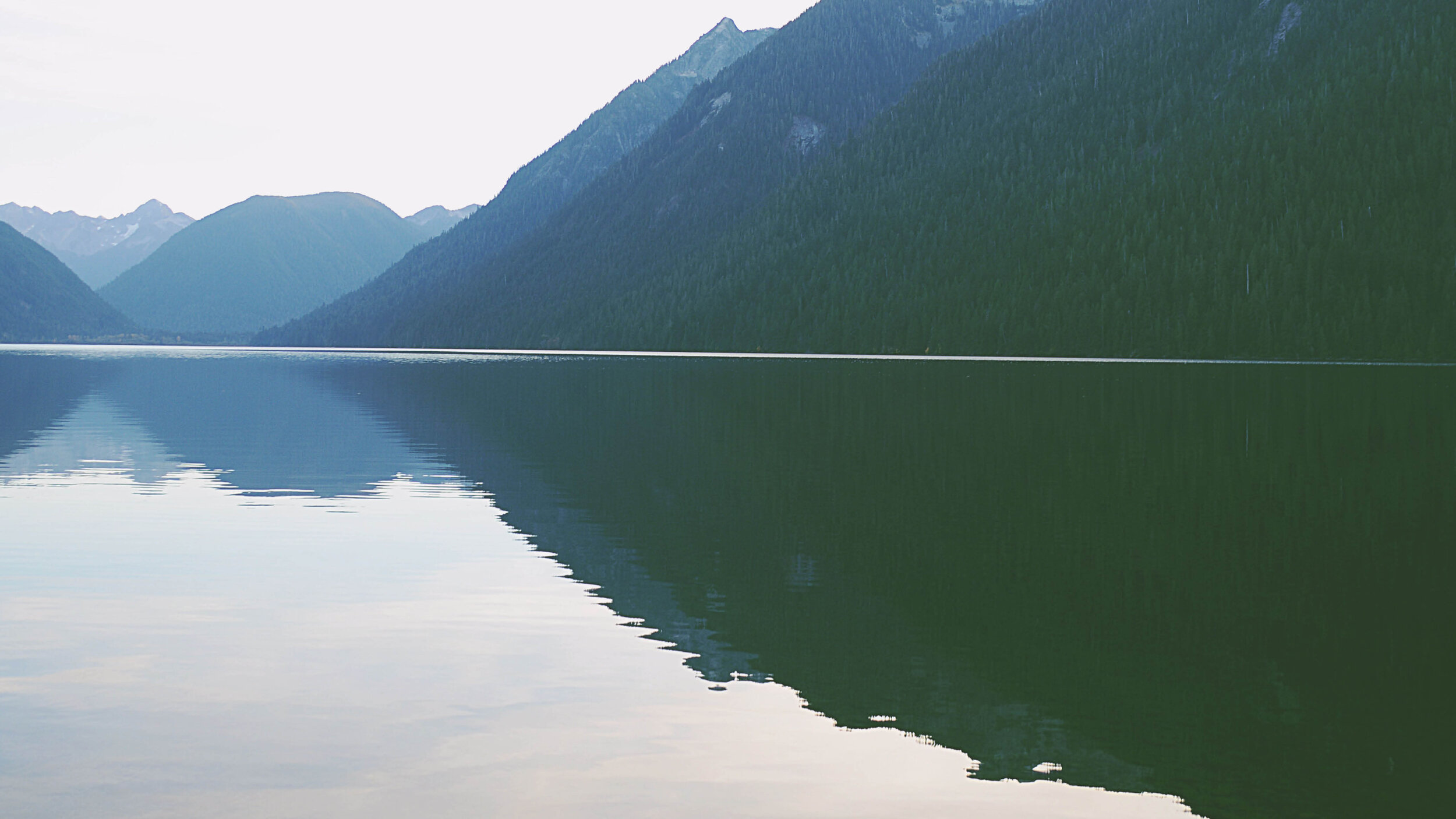 ZoomBackgrounds6.jpg