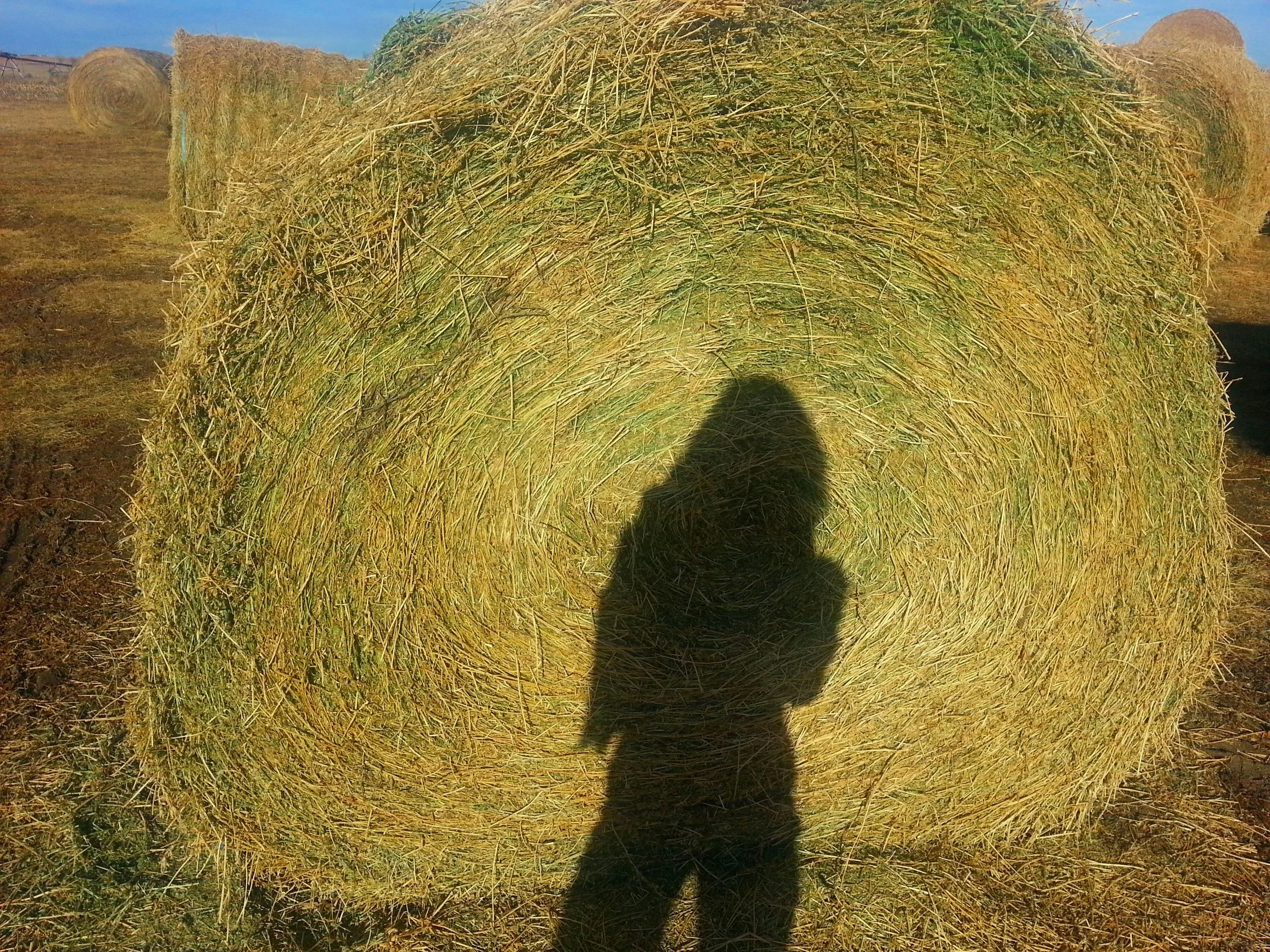 20141212_121402.jpg