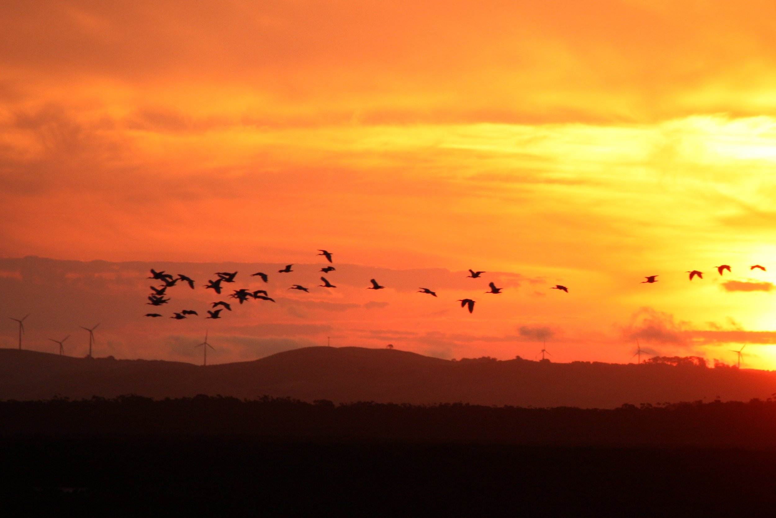 Toora sunset