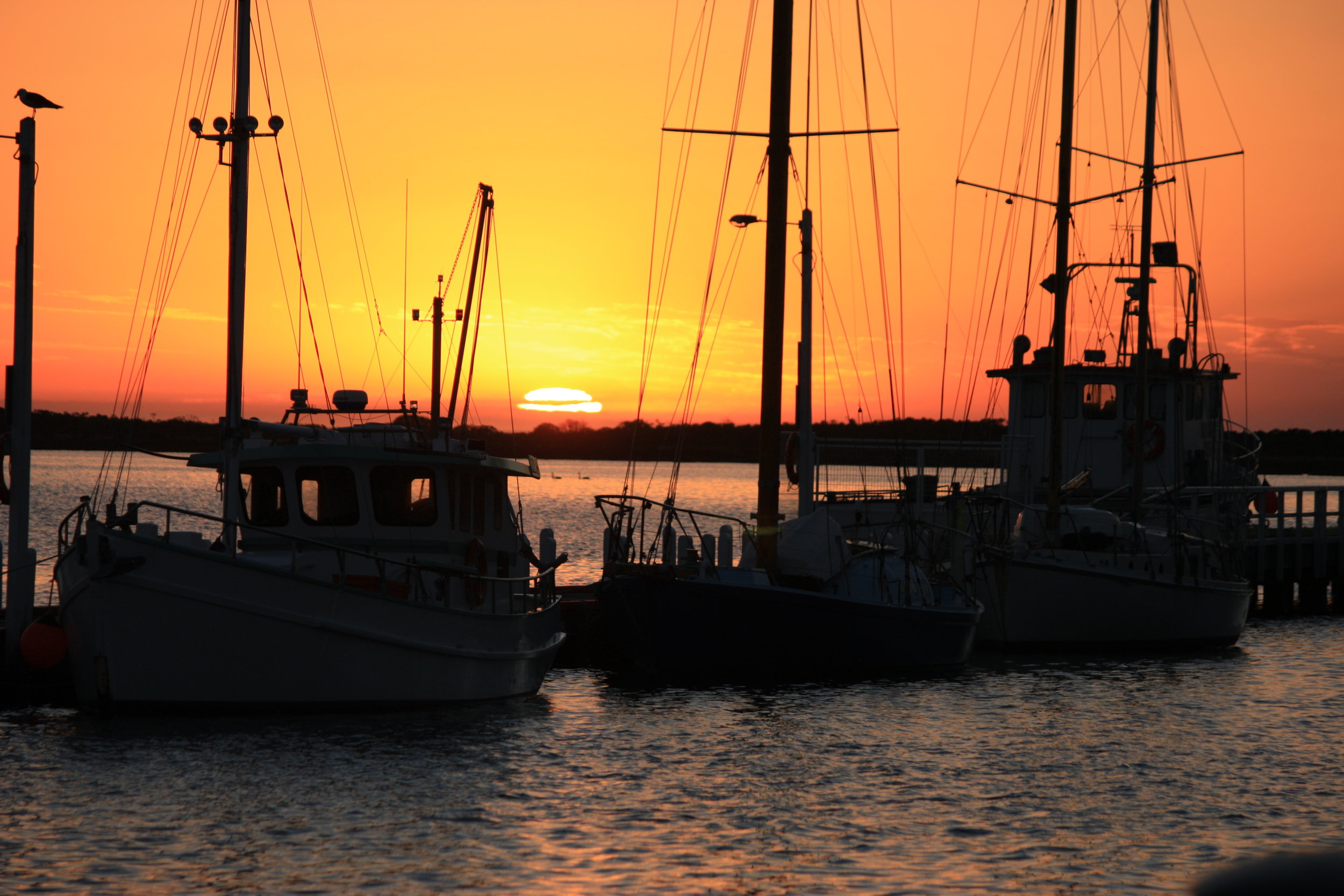 Sunrise at The Port