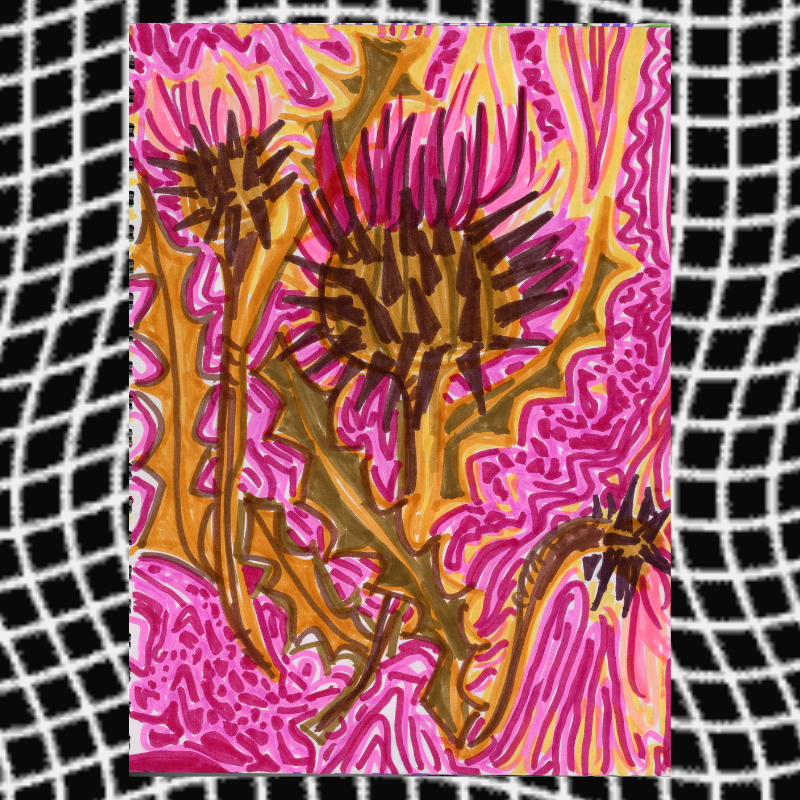 beatrix slime_thistle_2019.png