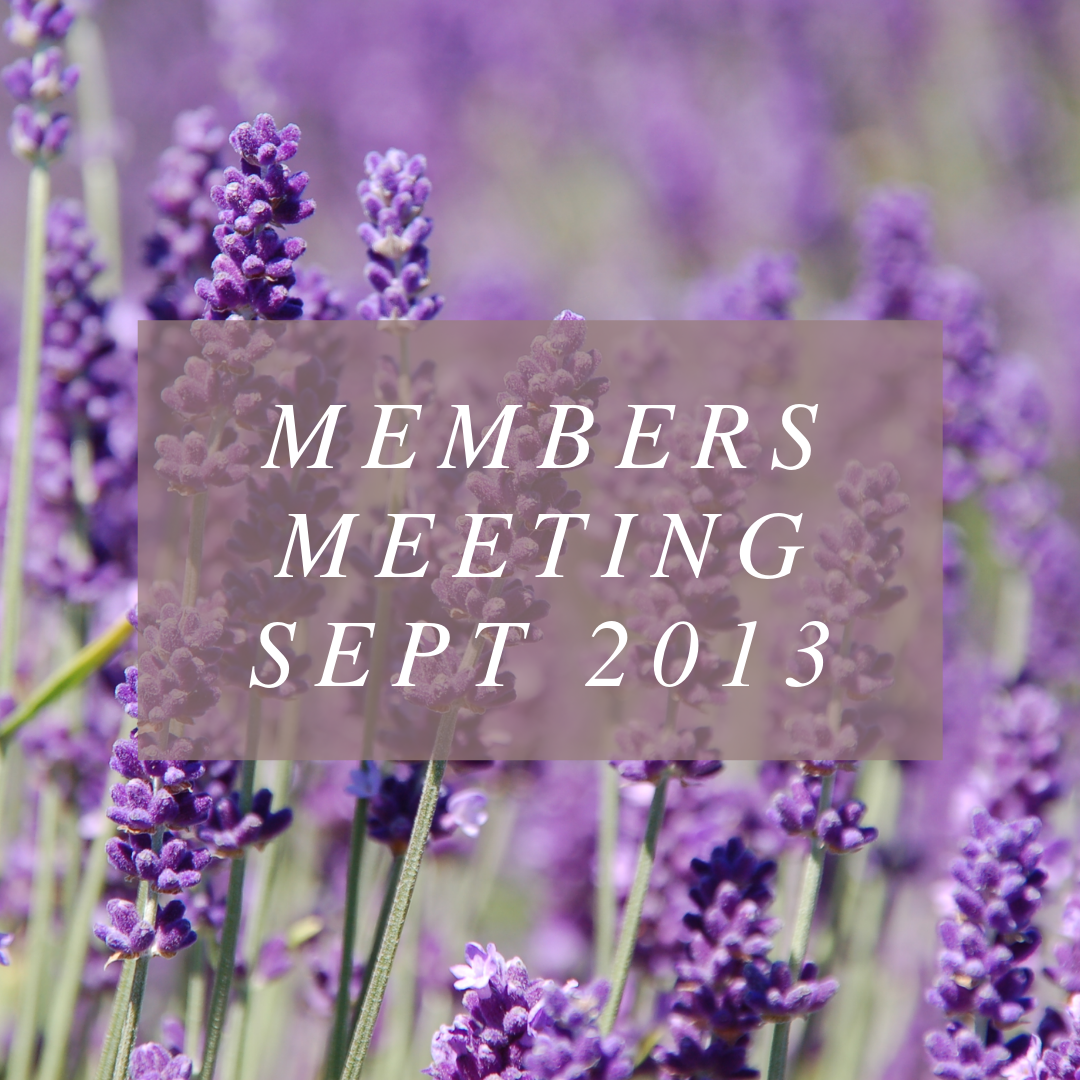 Members Meeting - Sept 21 2013