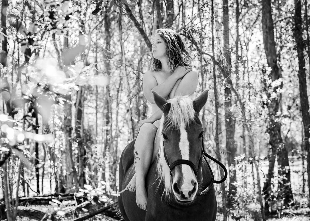 equestrian102.jpg