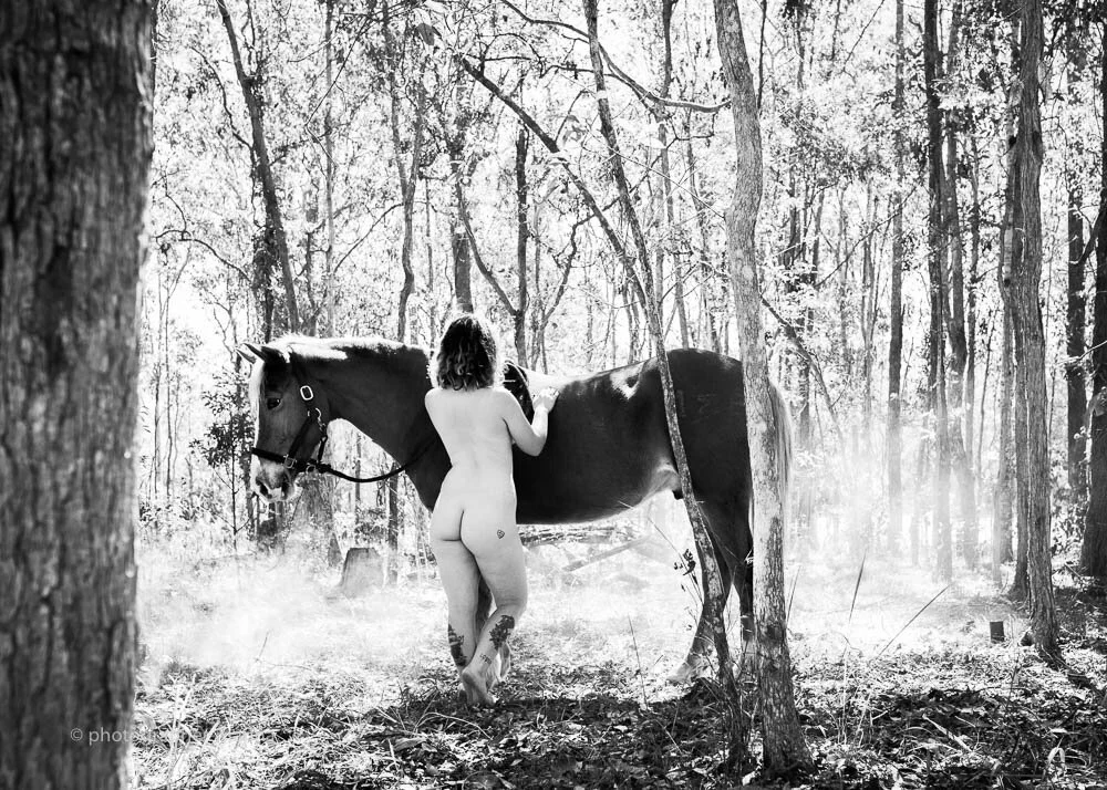 equestrian105.jpg