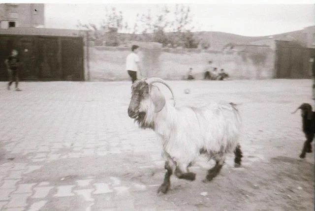 Photo taken by: Hamoude 12 years old
Fotoğrafı &ccedil;eken : Hamoude 12 yaşında

#sirkhane #sirkhanedarkroom #analogphotography #filmphotography #childrenwithphones #childrenwithcameras #istillshootfilm #bandwphotography