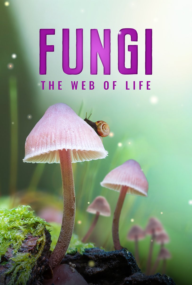Fungi_WebofLife_KeyArt_WEB.jpeg