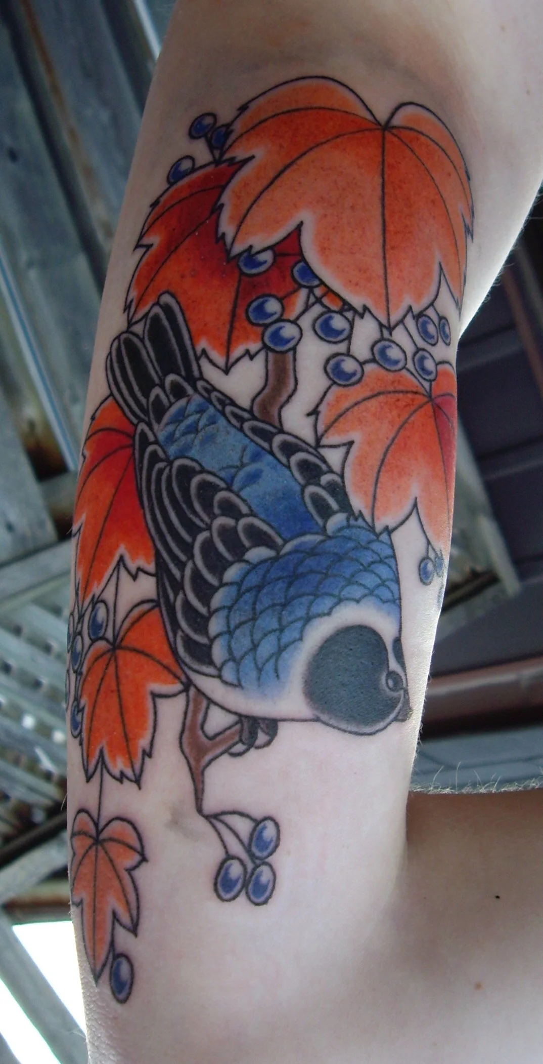 Colorful tattoo of a blue and black bird surrounded by orange fall leaves and berries on person's arm.