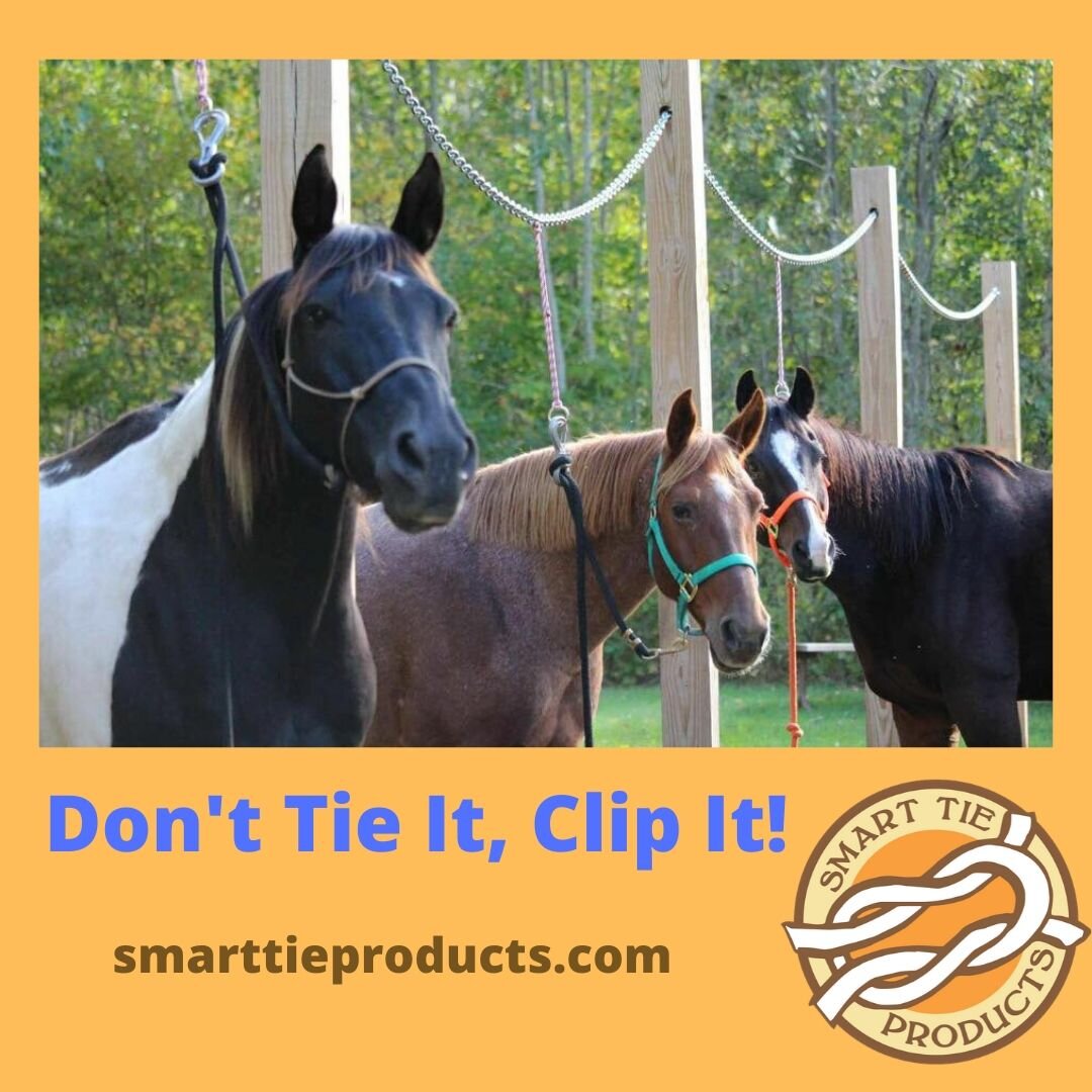 smarttieproducts.com.jpg