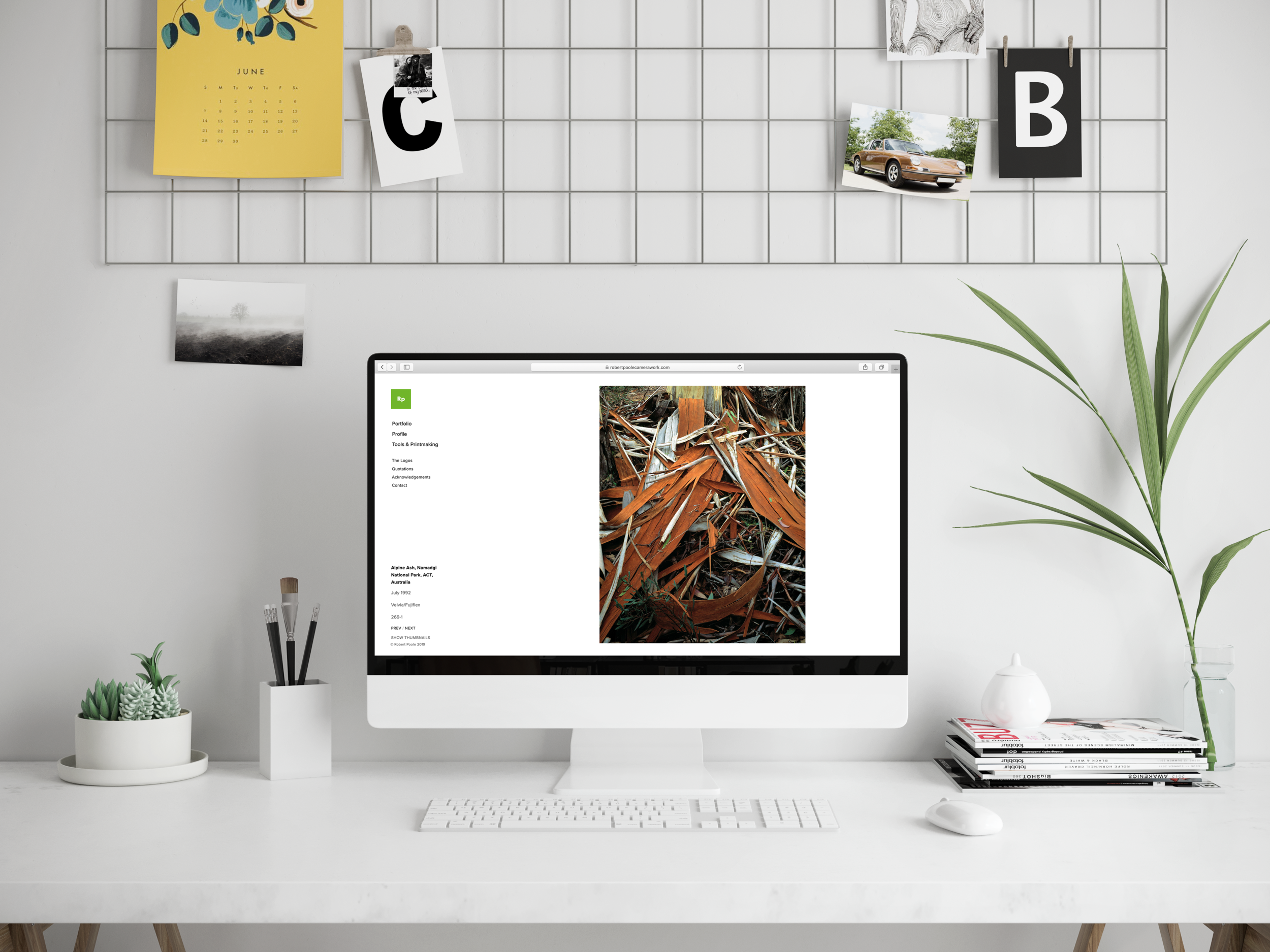 Robert-poole-website.png