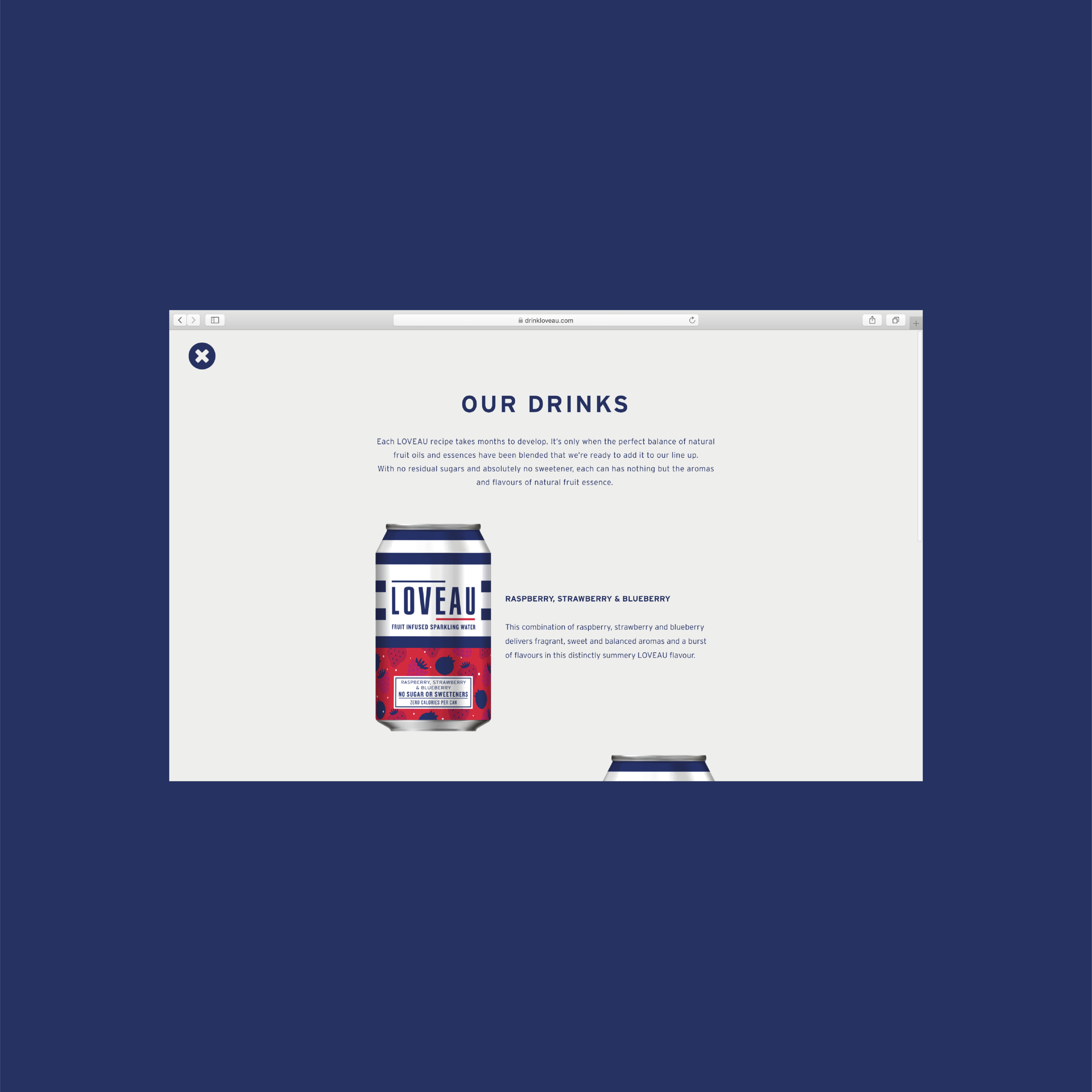 portfolio_website_Loveau-02.png