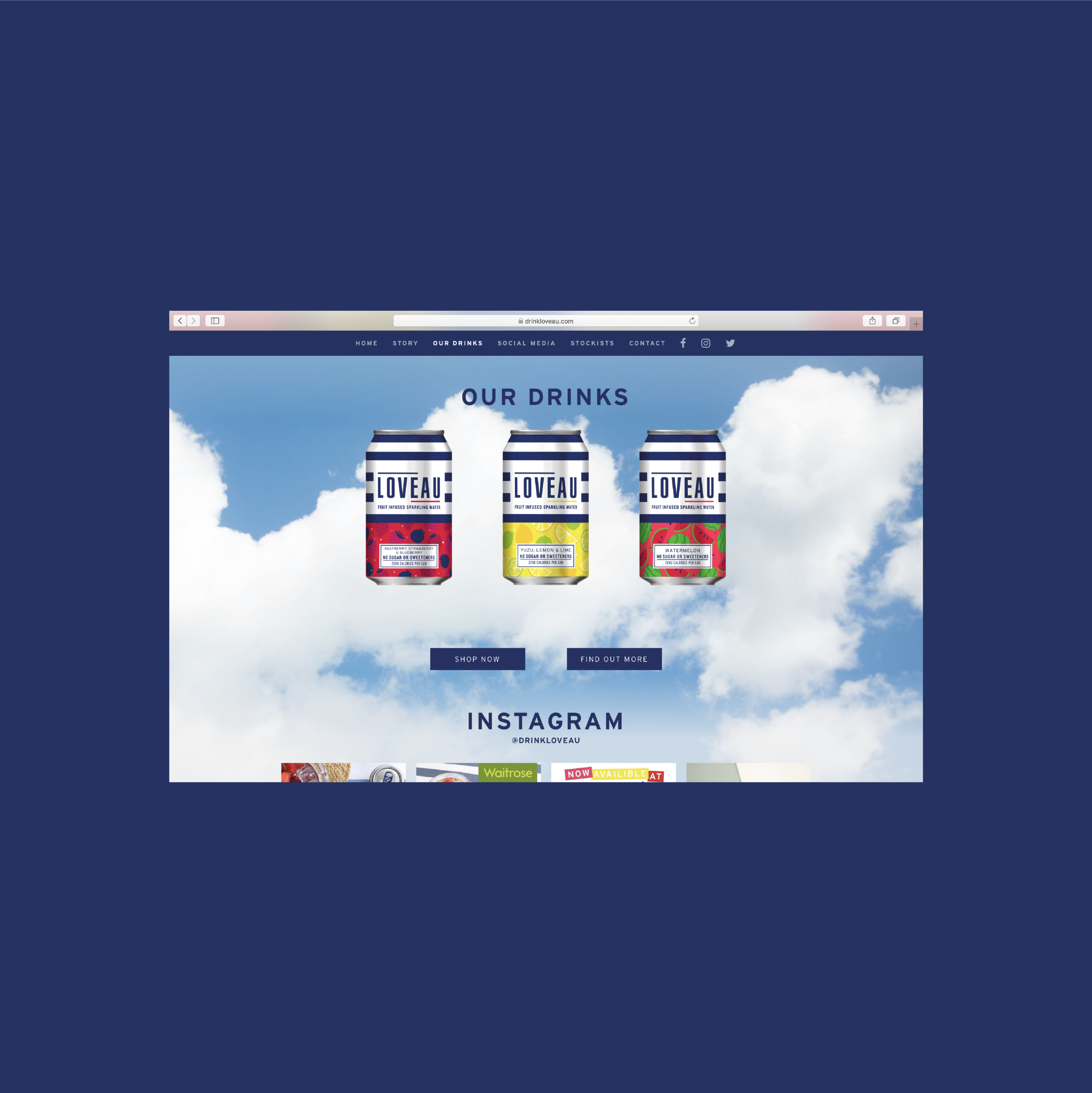 portfolio_website_Loveau-04.png