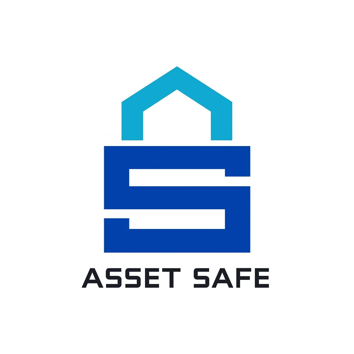 Asset Safe 4 with text border.jpg