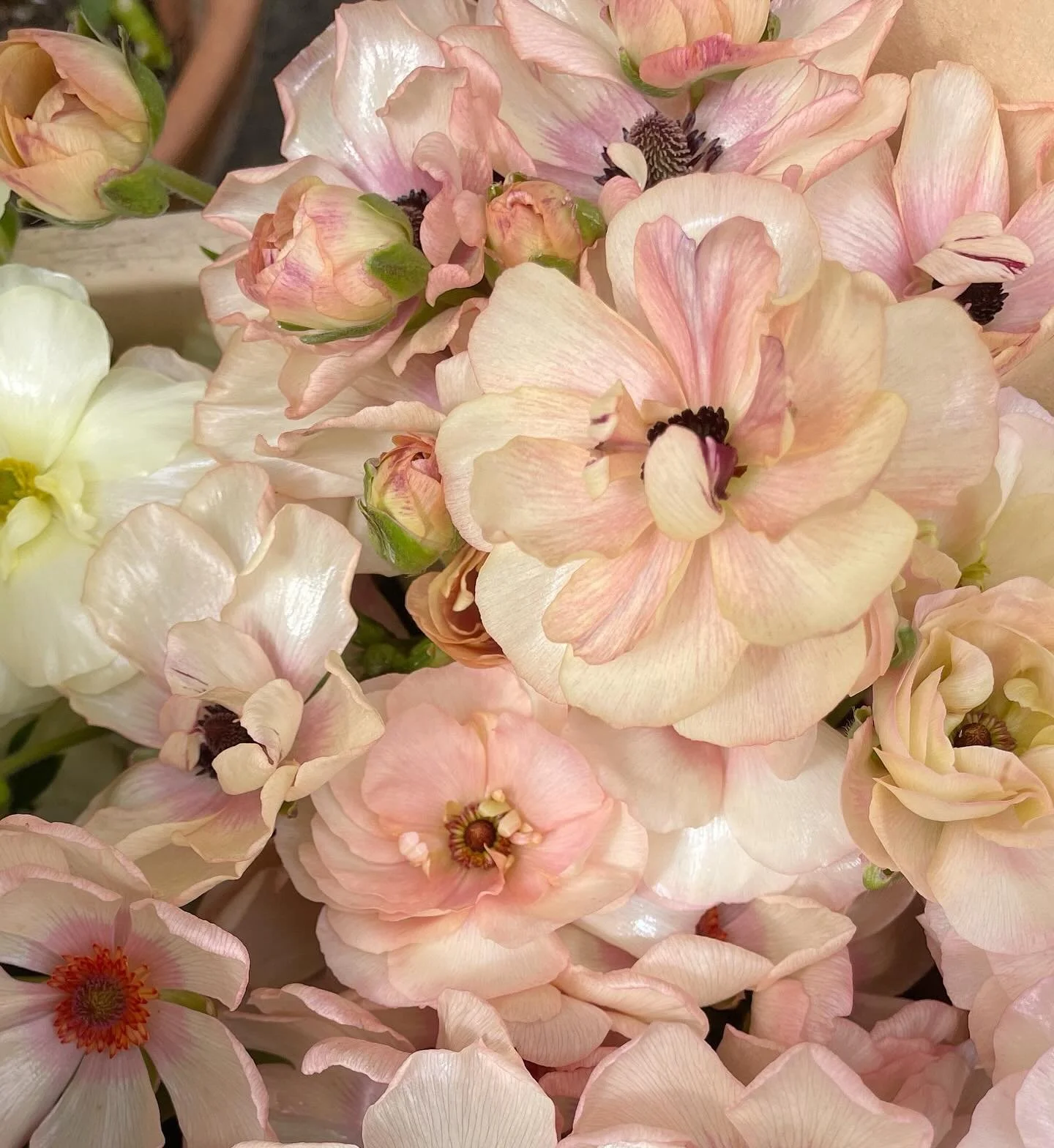 B R I T I S H G R O W N - I use as many British grown flowers as possible, there is a season and it usually runs from around April-September. Weather does play a big part though and what you can get from week to week varies, but that&rsquo;s part of 