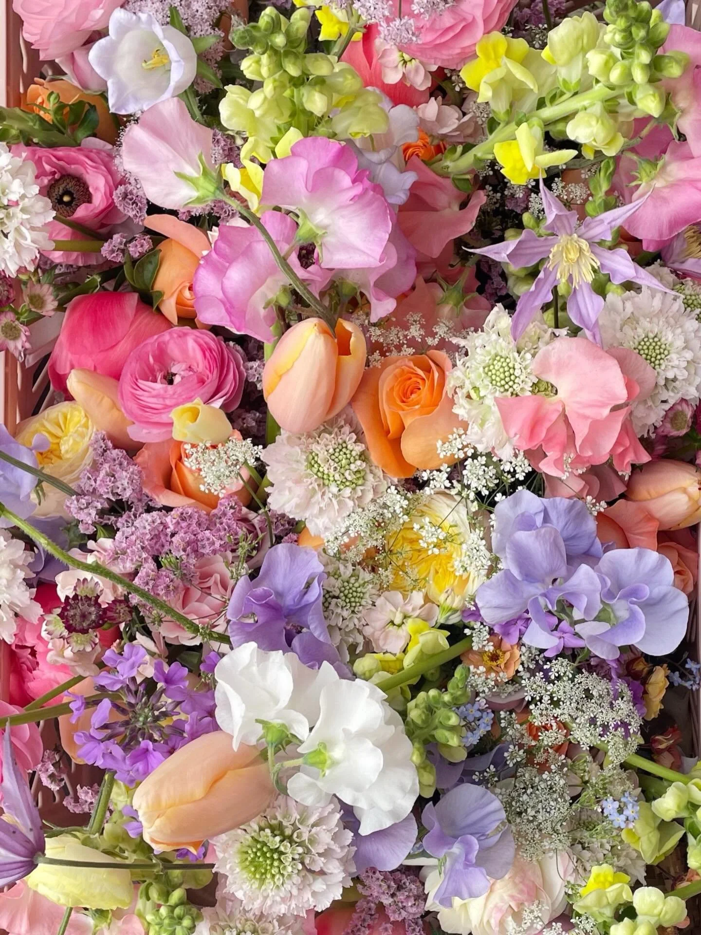 B E G I N - my wedding season starts in a few weeks and I&rsquo;m so excited! It&rsquo;s been a long, wet and windy winter and I cannot wait to start being creative again with spring blooms 🥰

It&rsquo;s a busy time of year as I&rsquo;m checking in 