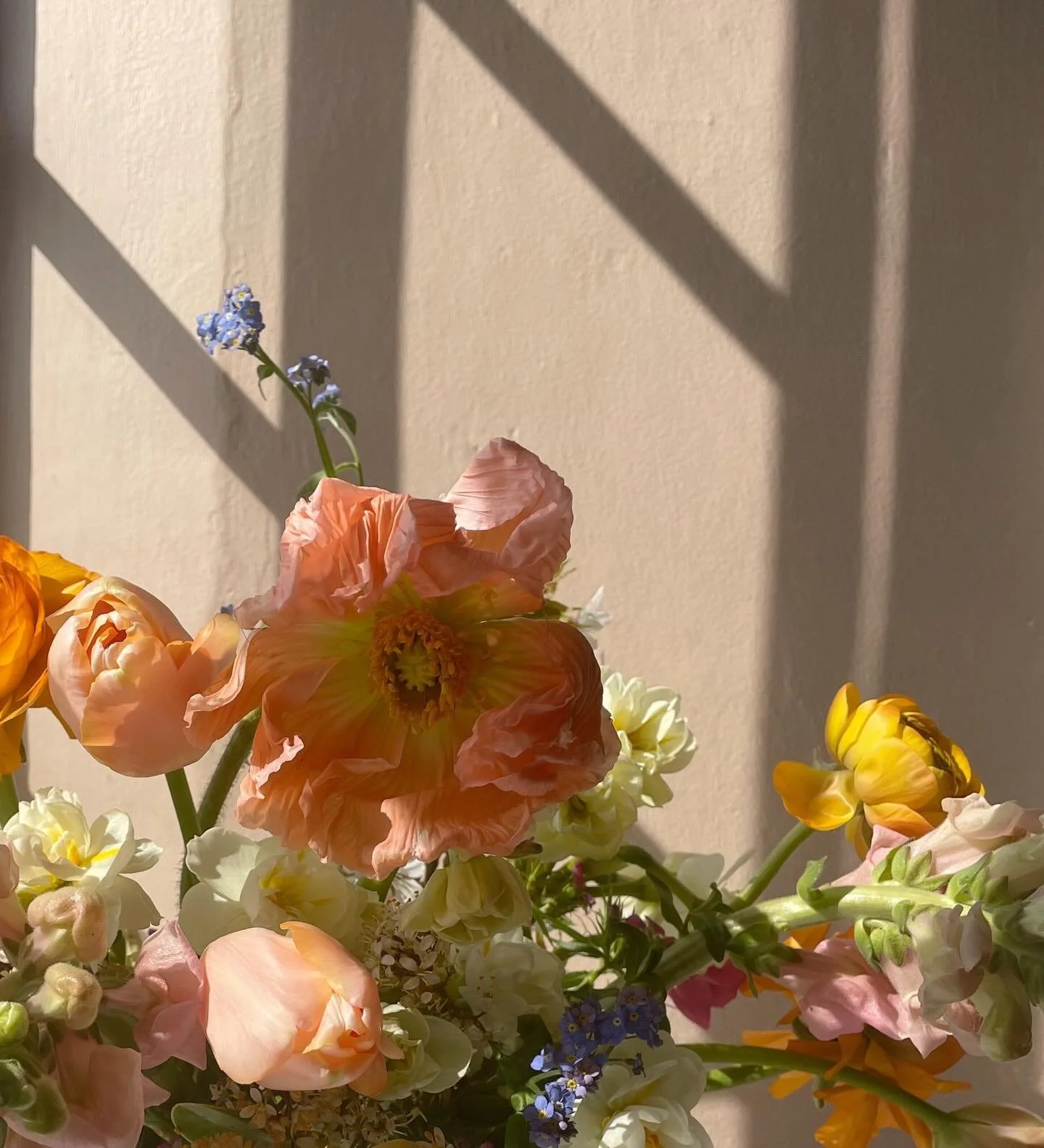 P O P P Y  T I M E - there&rsquo;s something delightful about poppies, the way they come all wrapped up and unfurl gradually - or are unfurled by me to speed up the process 😆 
Anyone fancy a bouquet purely using poppies? 🥰
.
.
.
.
 #colourfulweddin