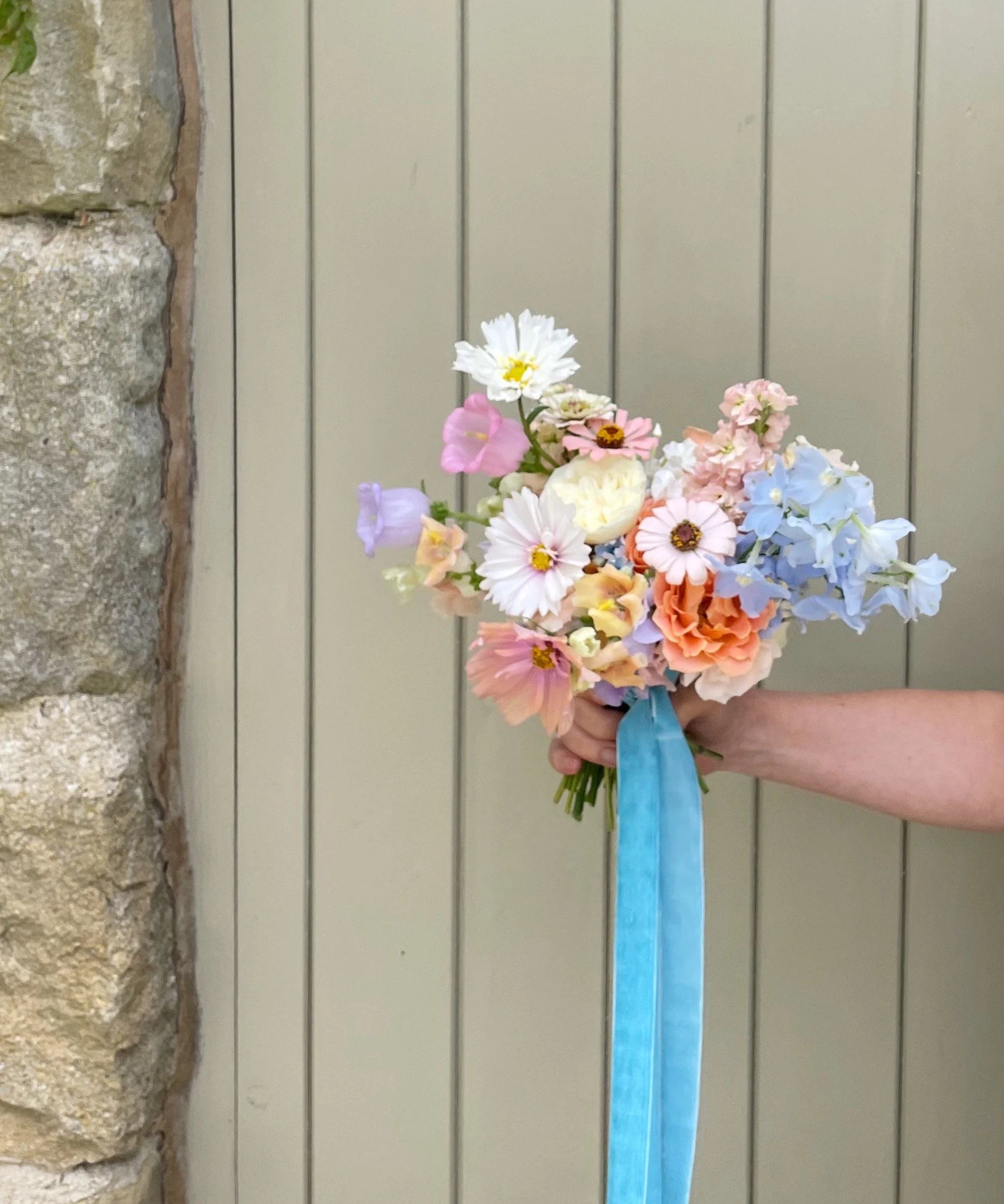 An early September bridal bouquet in pretty pastel colours with zinnias, delphinium, cosmos, garden roses, campanula and other British stems