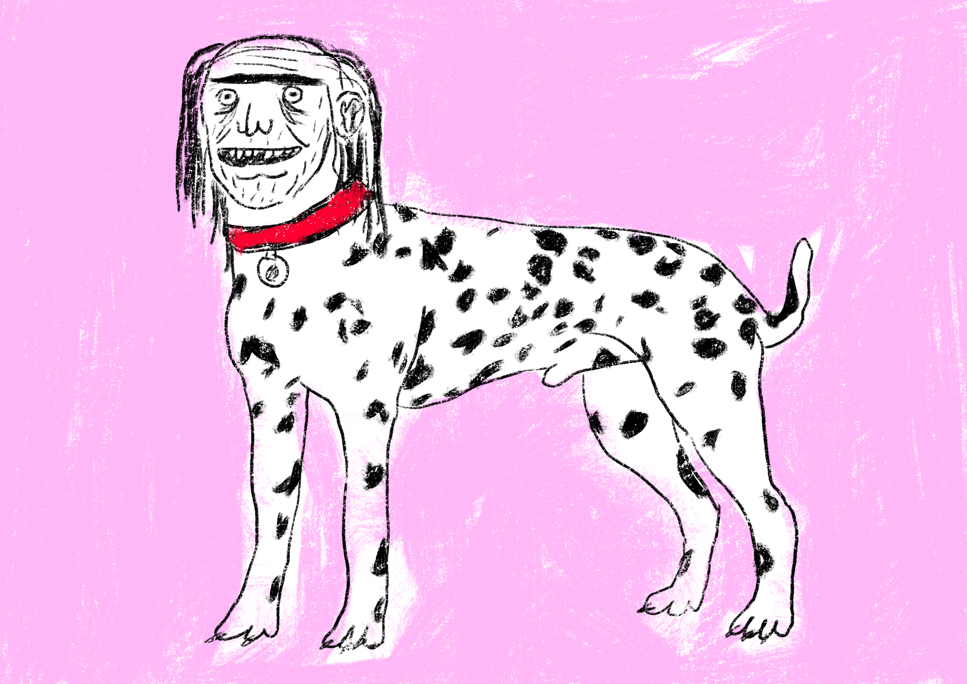DALMATA.png