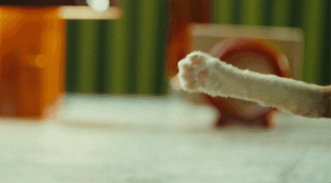 1772464815164.gif