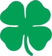 St Patrick's Day Party