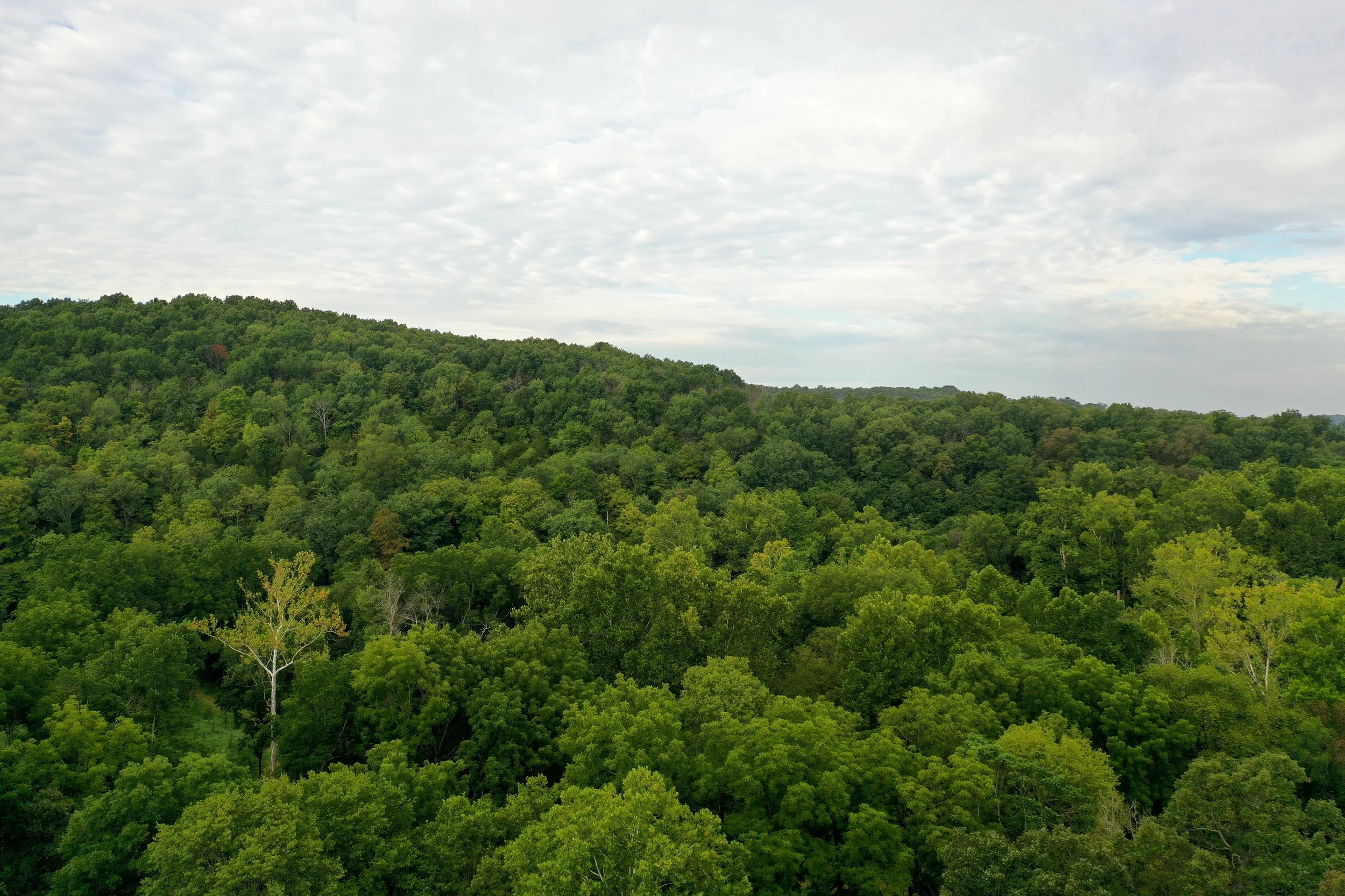 DJI_0060.JPG
