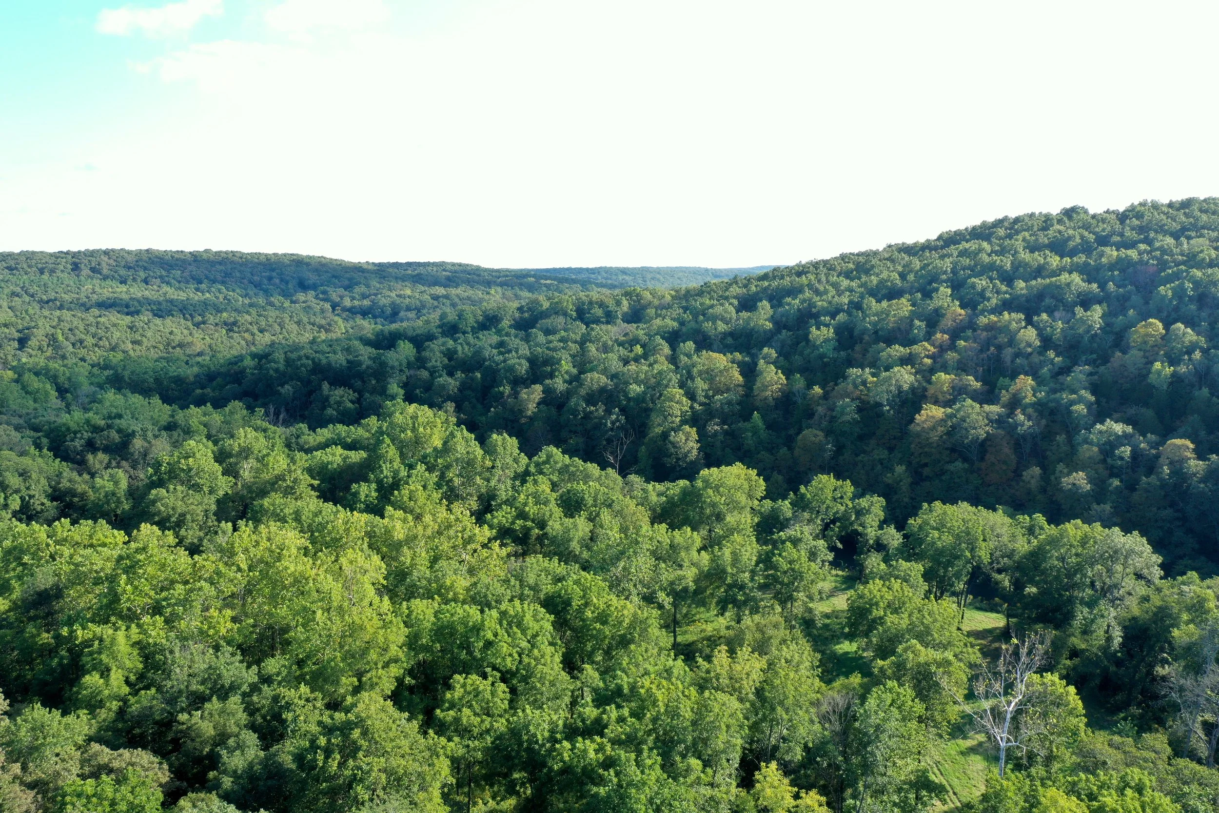 DJI_0100.JPG
