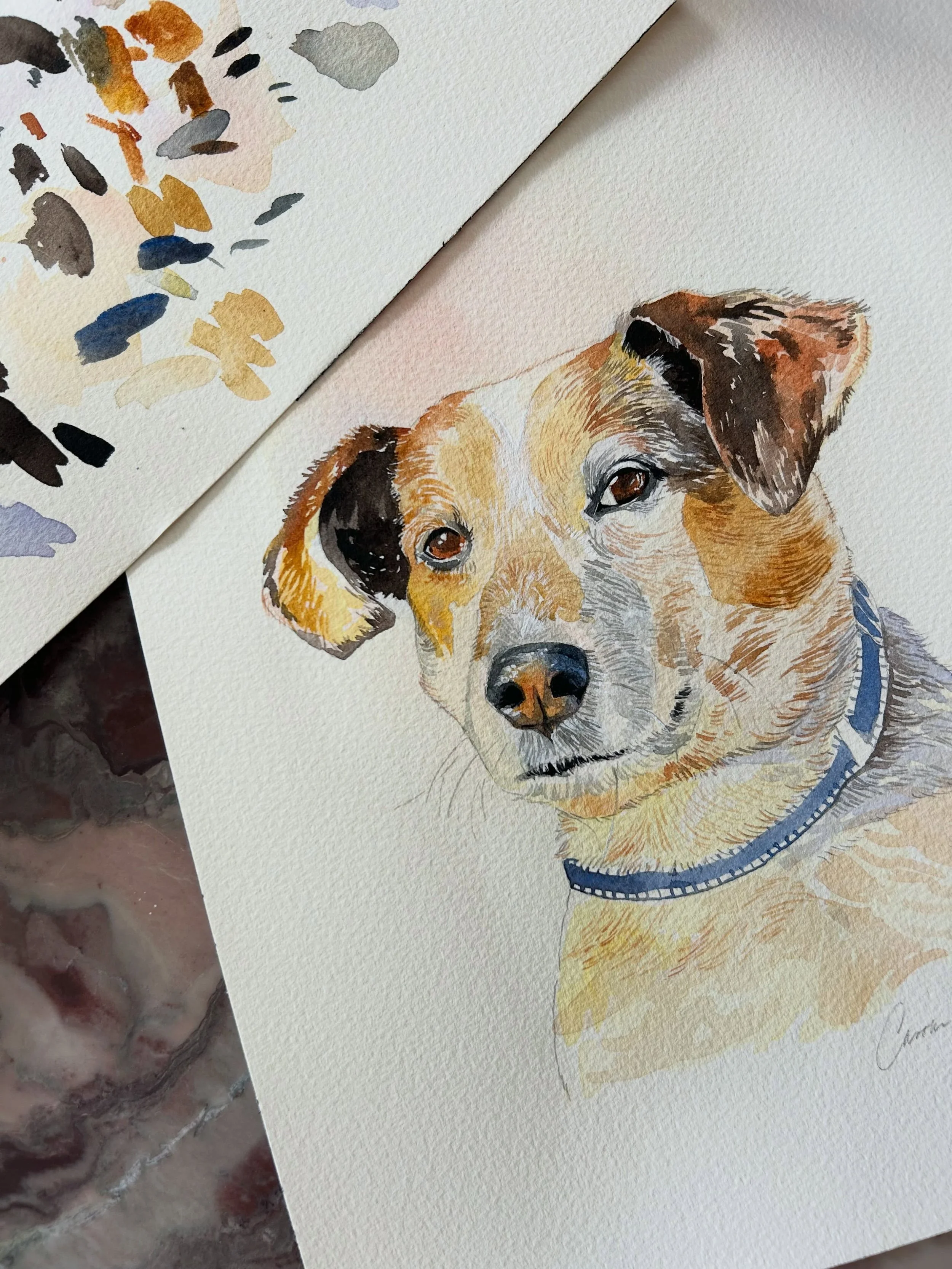 Color swatch scraps are some of my favorite parts of the painting process. This dog commission captured my heart! 💜 

#dogportraits #watercolordog #dogpainting #artiststudio