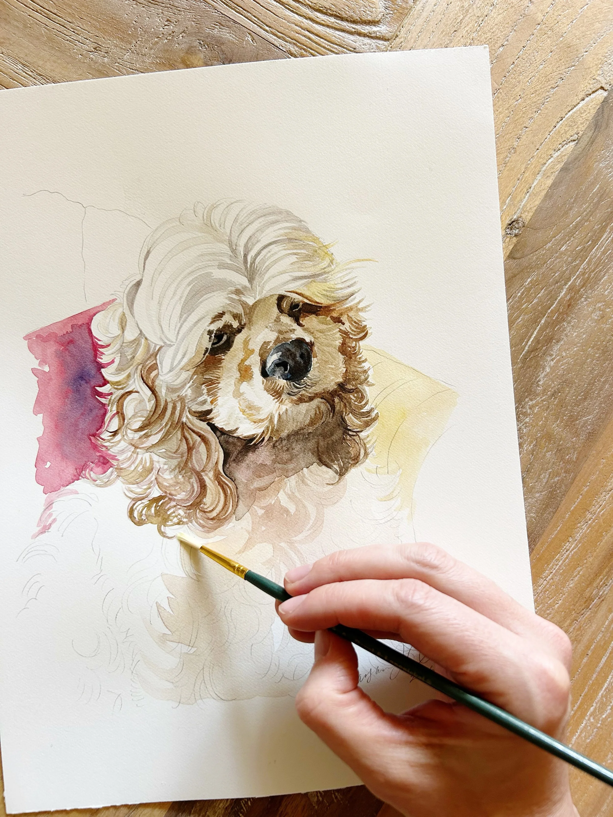 Hey all! Been working on commissions and have been sketching for an exciting new project. I&rsquo;ll post some sketches to my stories today. 🪄 #watercolor #dogsofinstagram #portrait
