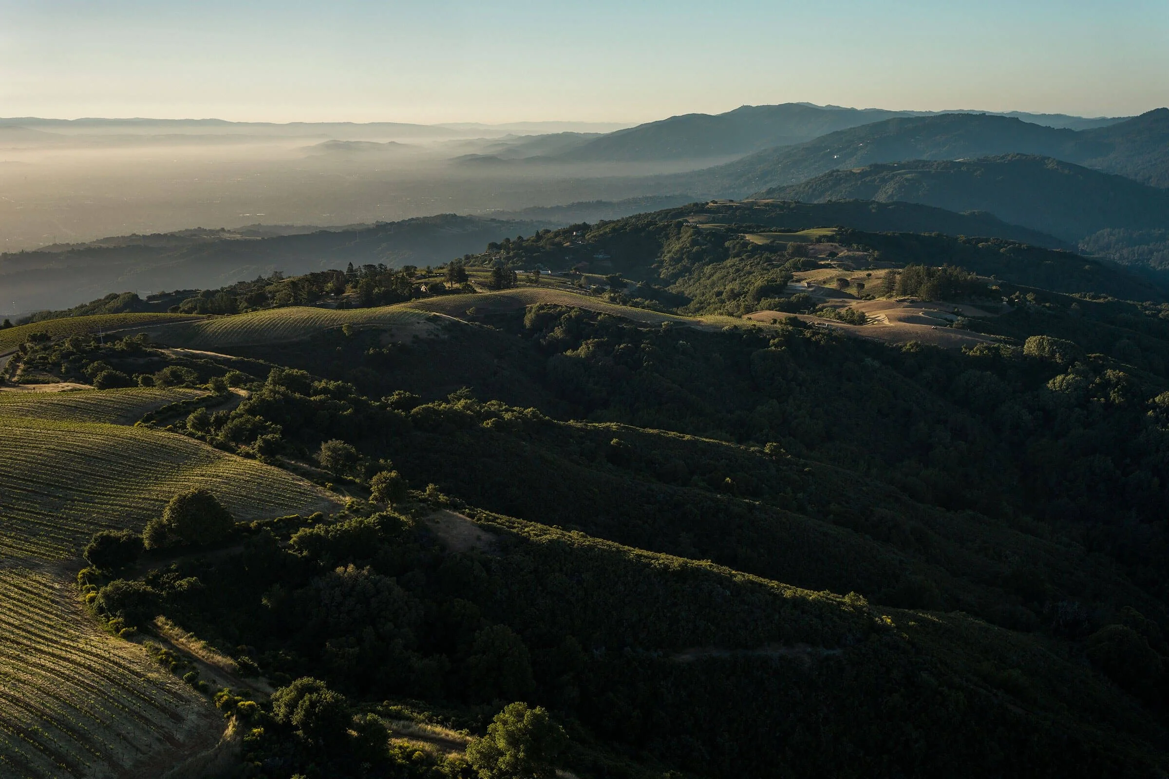 Ridge Vineyards Wine Dinner Wednesday 11 February | 7pm 