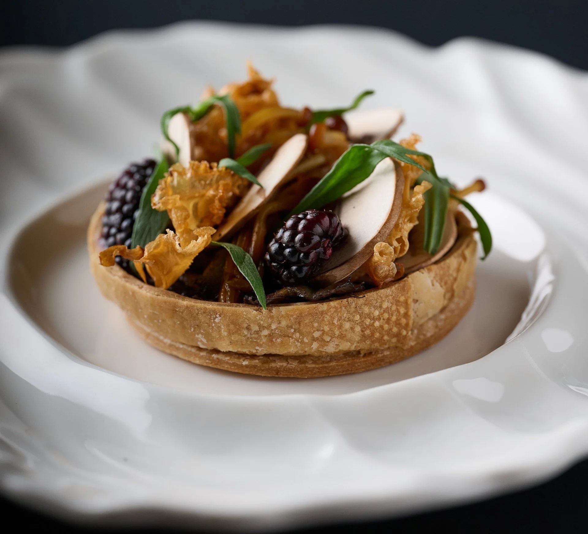 7th Best in the UK | Greyhound Sparkling Wine | High Performance Training