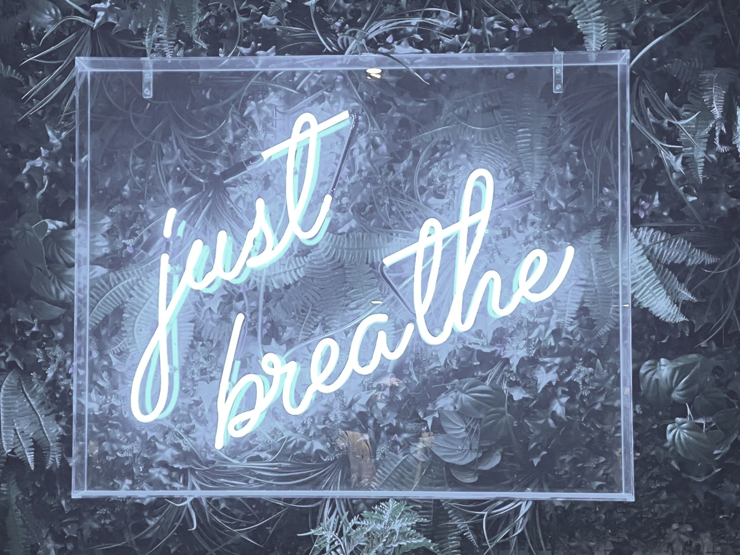 breathwork therapy | deepen self-awareness and support emotional processing