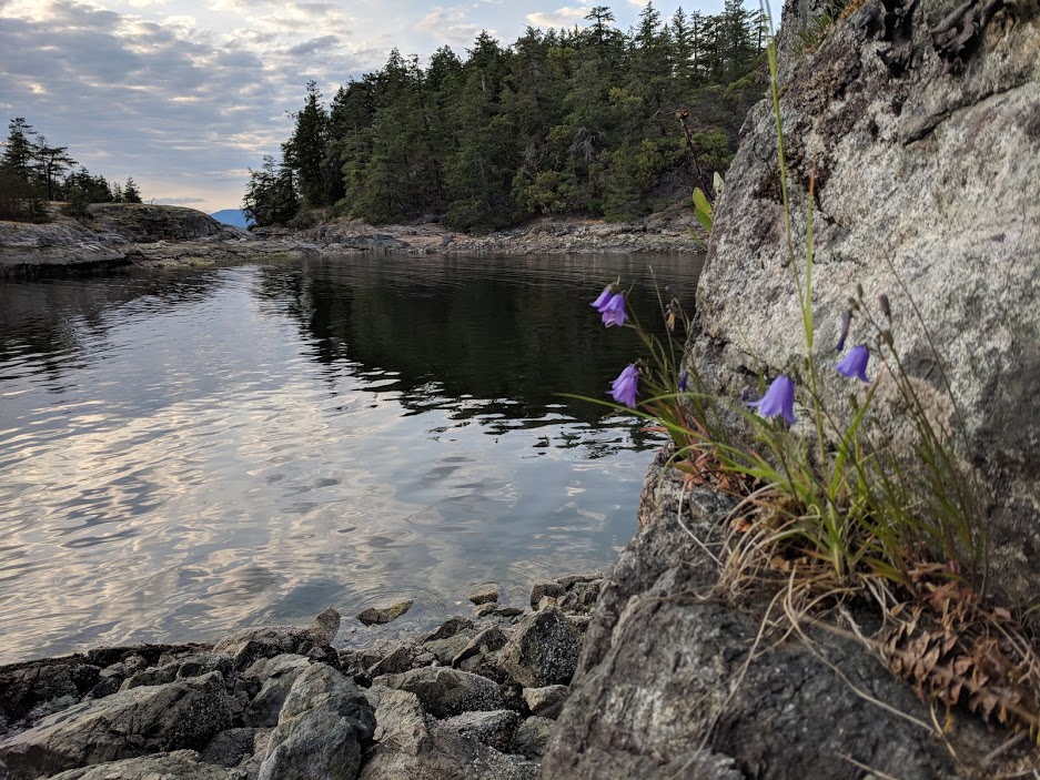  The cove between the North Copeland Islands 