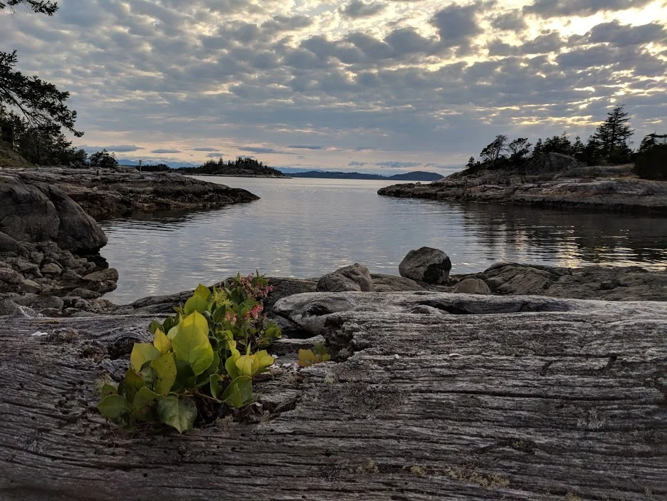  Life finding a way on the Copelands 