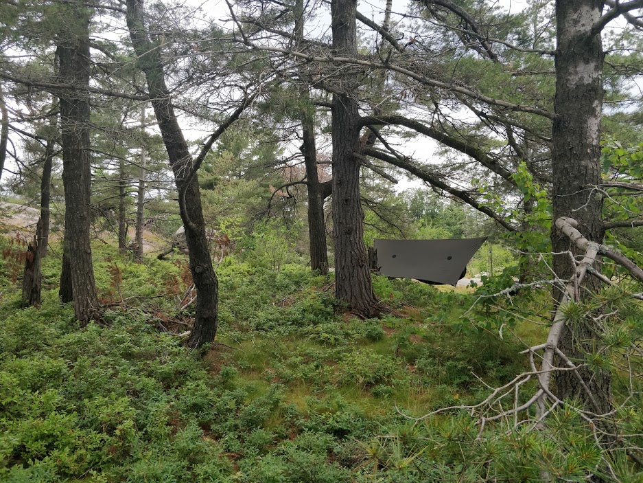  Hammock camping among the blueberries on West Fox Island 