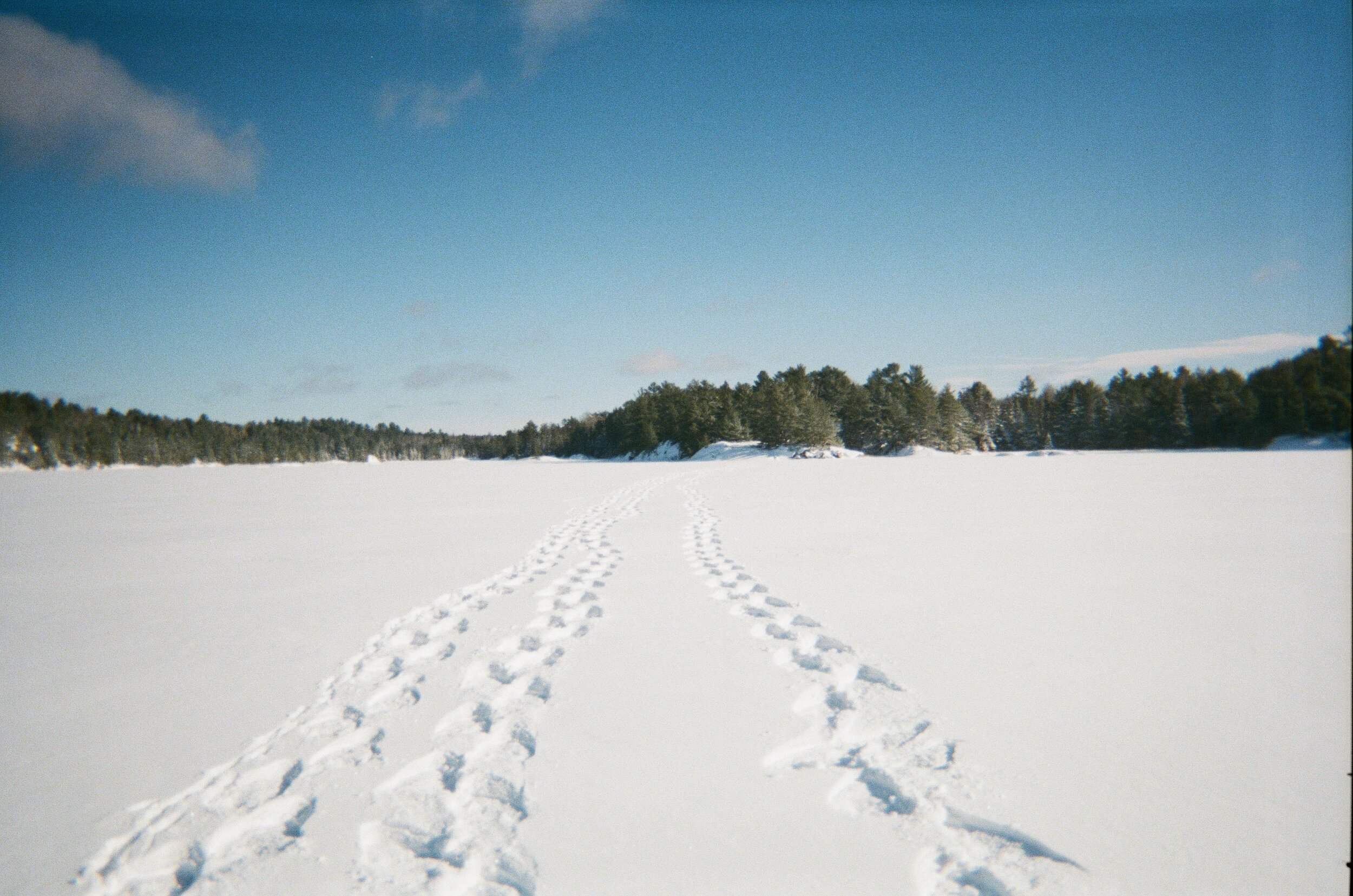  Fresh tracks on Moose Lake. 