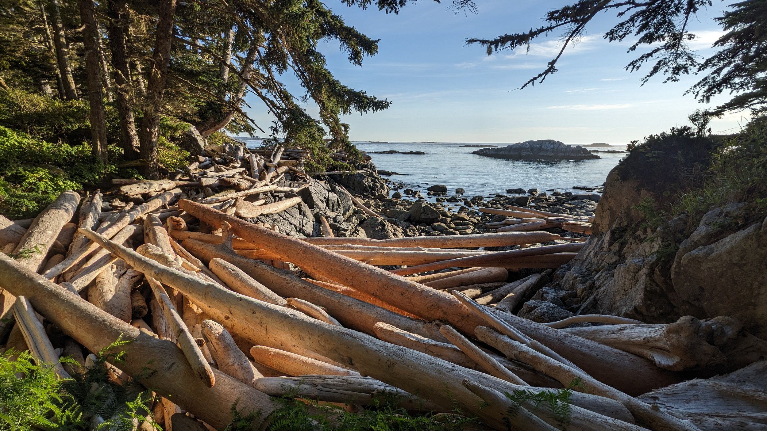  Driftwood washup on the West side of McMullin island. 