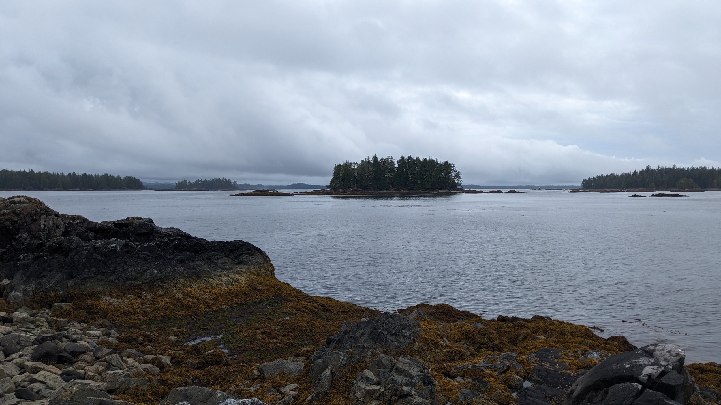  Looking back at Seaforth Channel from the Roar Islets. 
