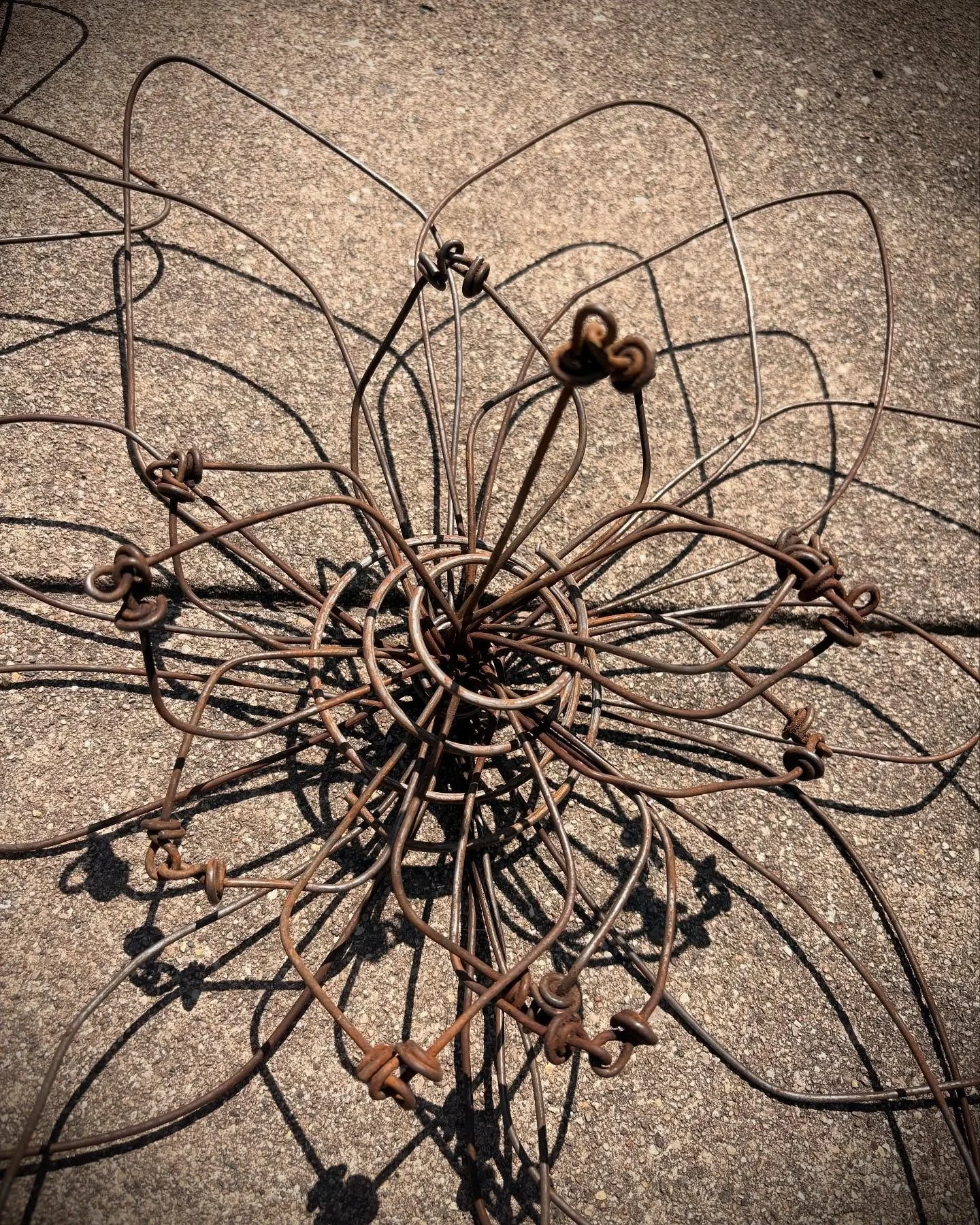 So beautiful @northwind_perennial today &hellip;. I went specifically to purchase some flowers from  @perennialheirlooms #loveflowers #creativeart #mobiledesignstudio