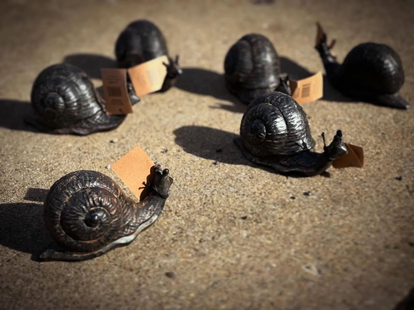 Just crawling into the weekend &hellip;. So cute #snails #springweather☀️ #mobiledesignstudio
