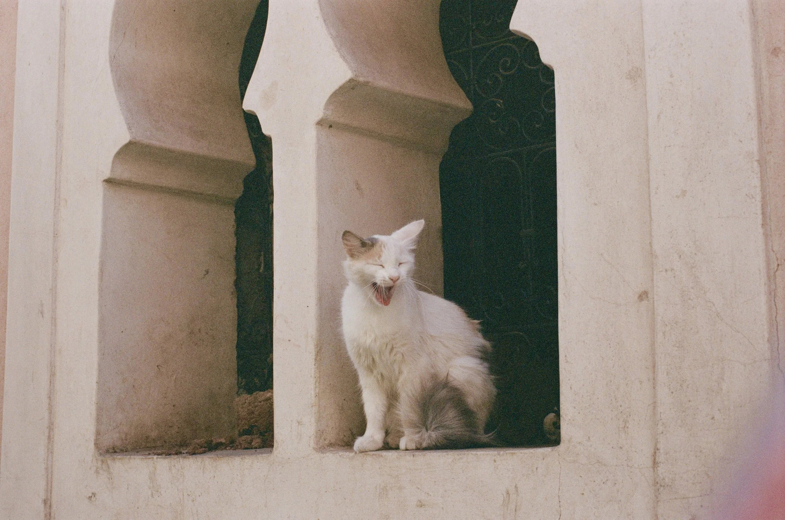 Postcards from Morocco