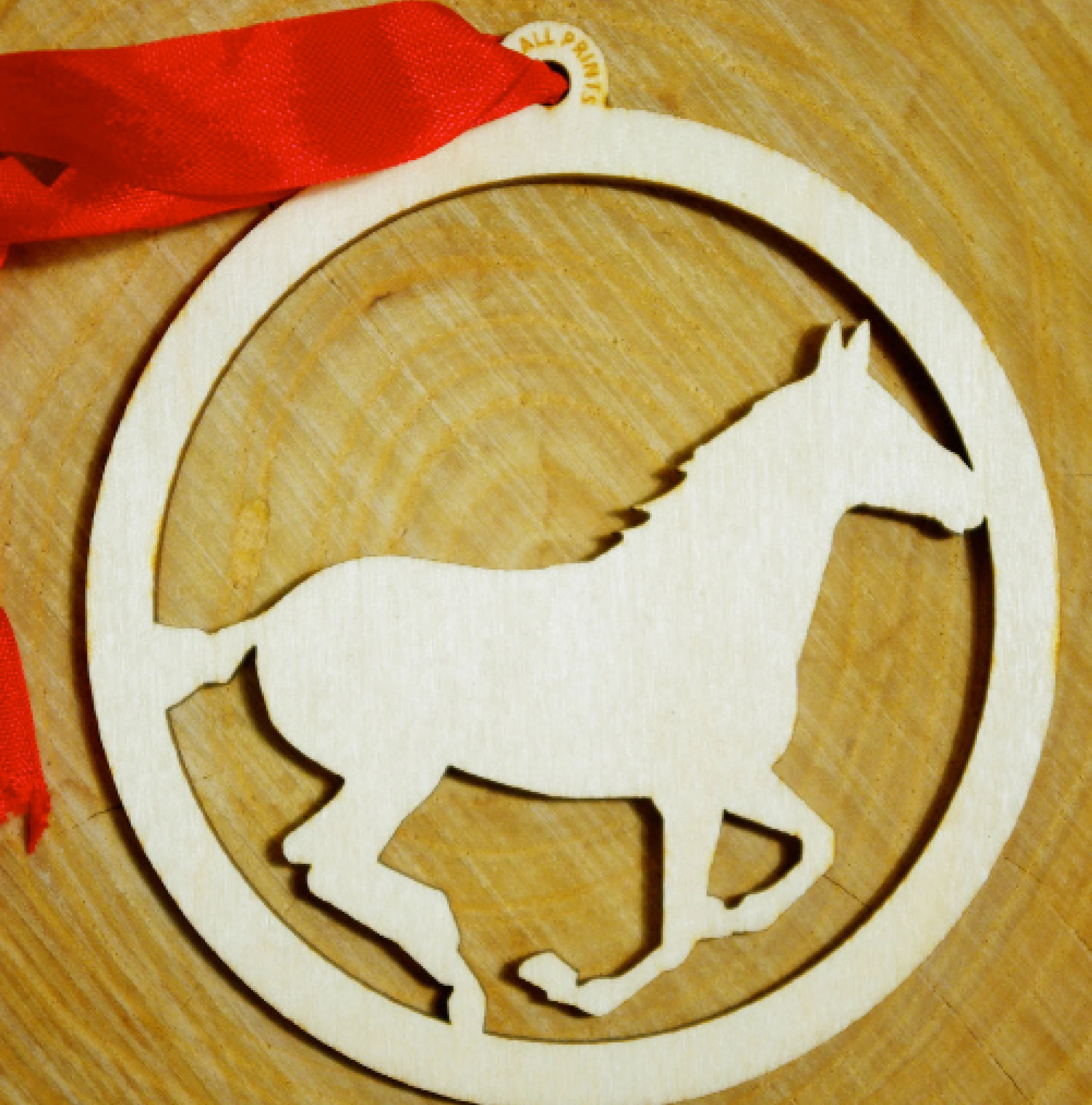 running_foal.jpg