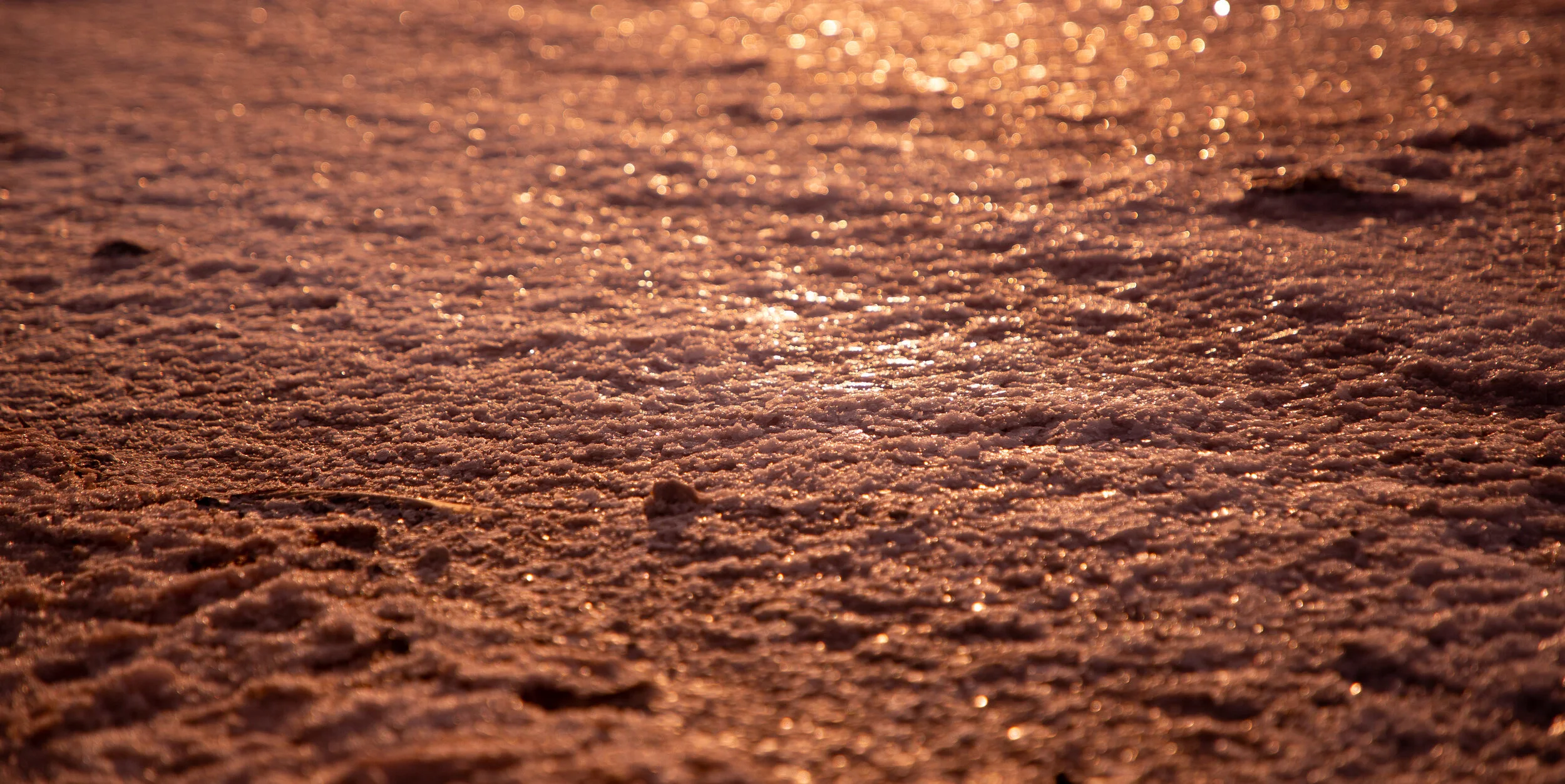 3V0A4890.jpg