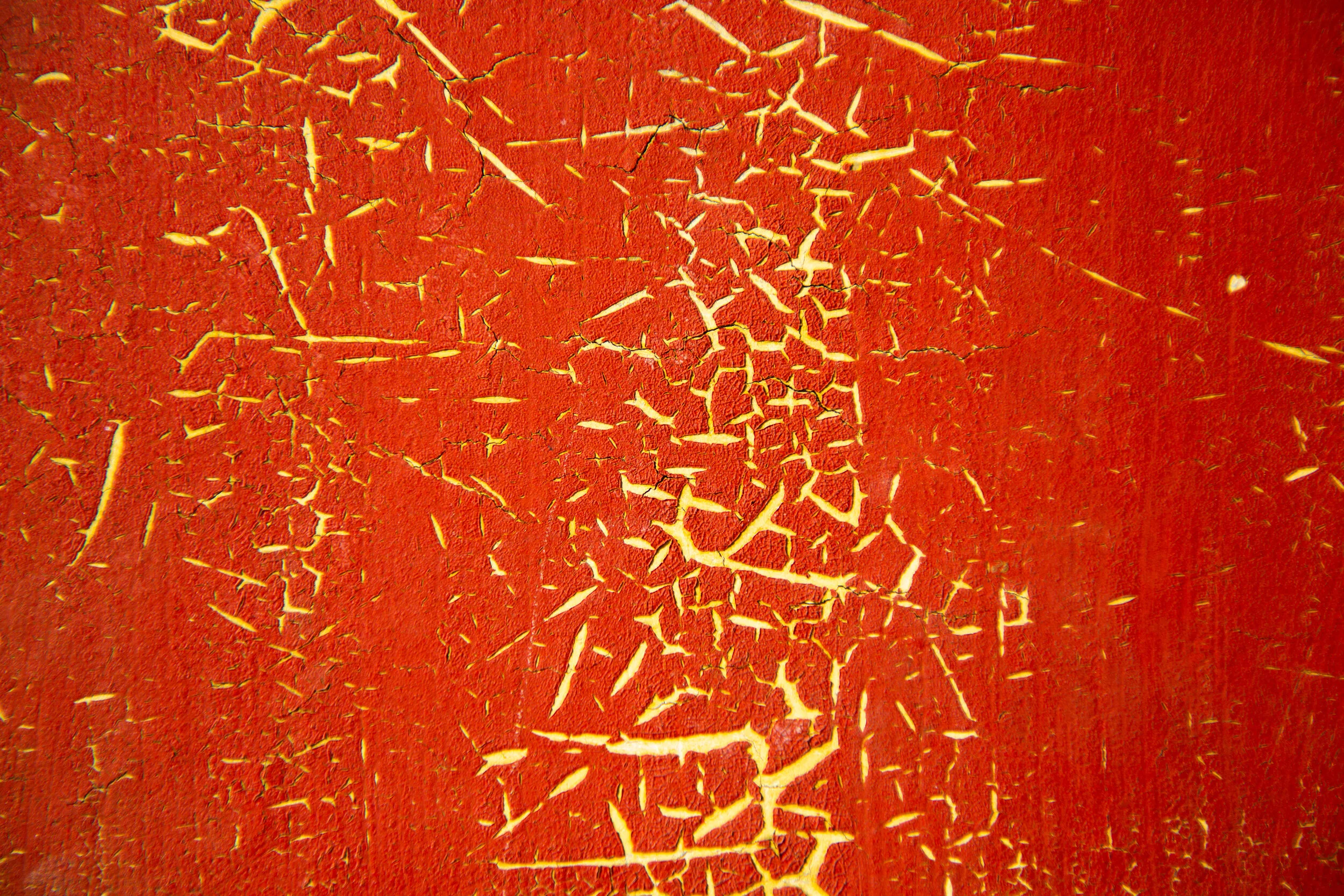 3V0A5166.jpg