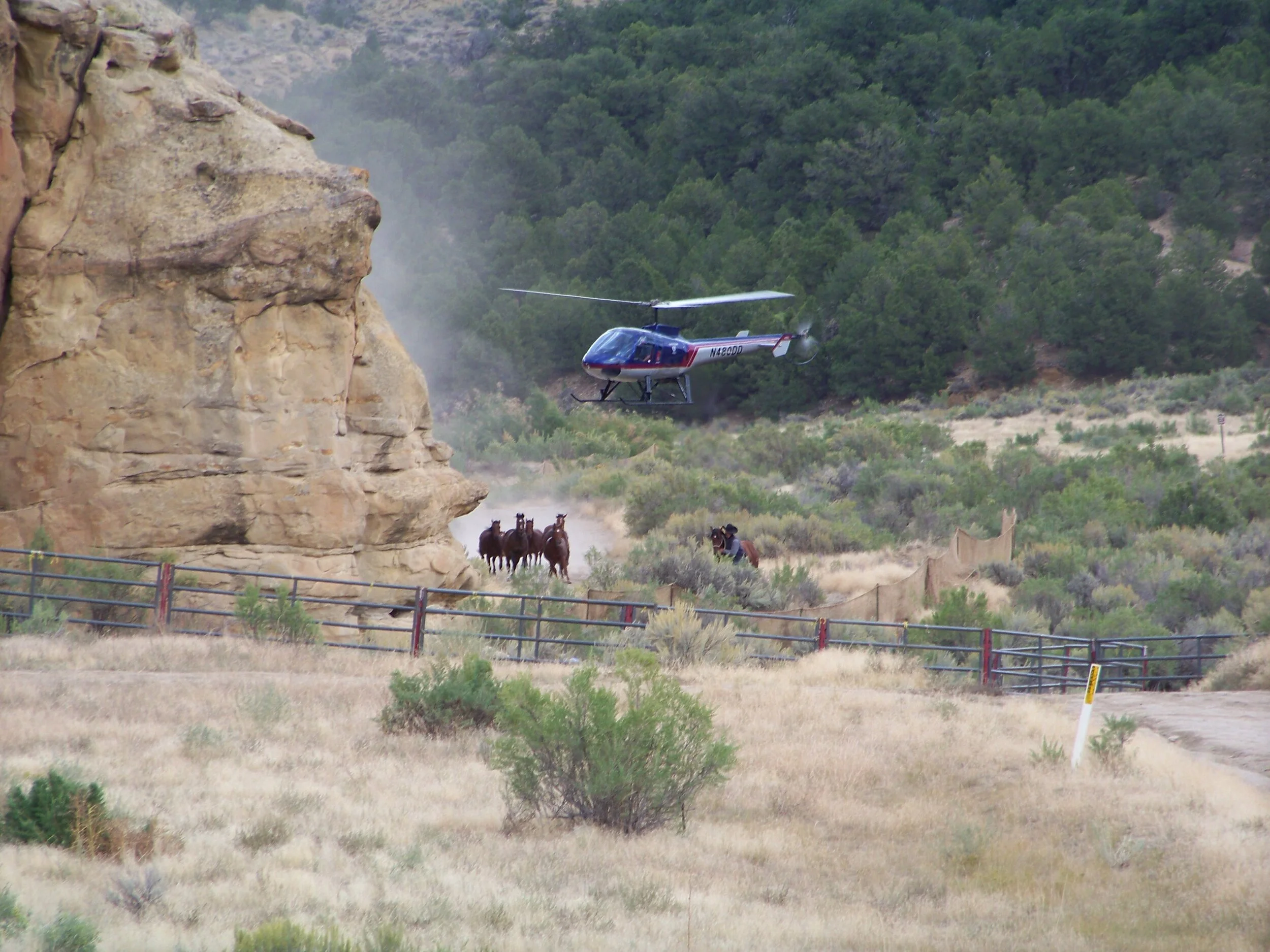 Sometimes Even an Anarchist Has to Praise the BLM