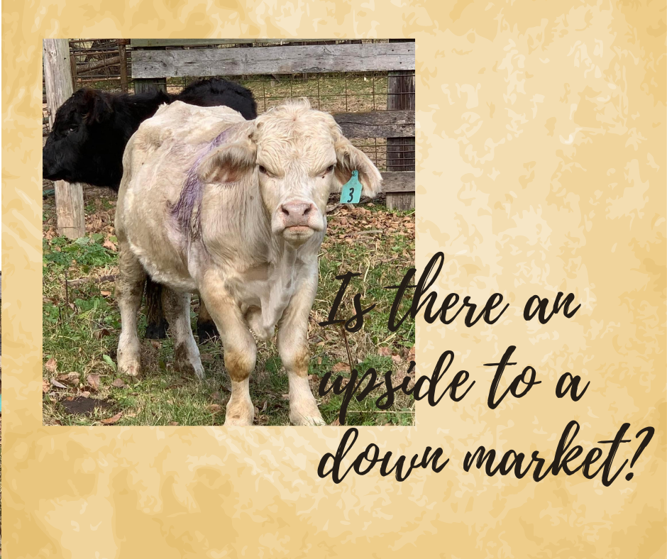 Is There an Upside to a Down Market? 