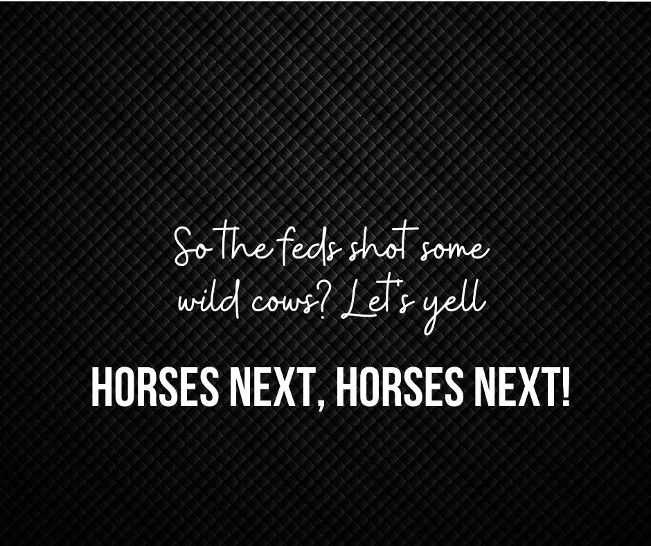 Horses Next, Horses Next!