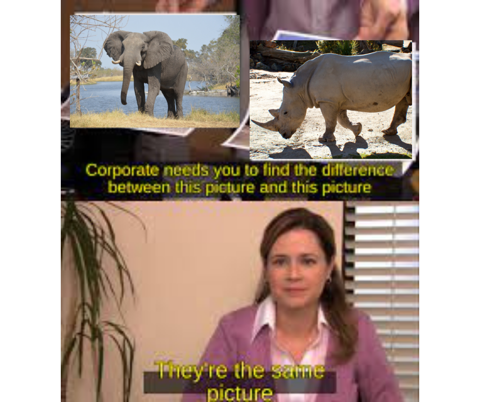 The Whole Party is RINO